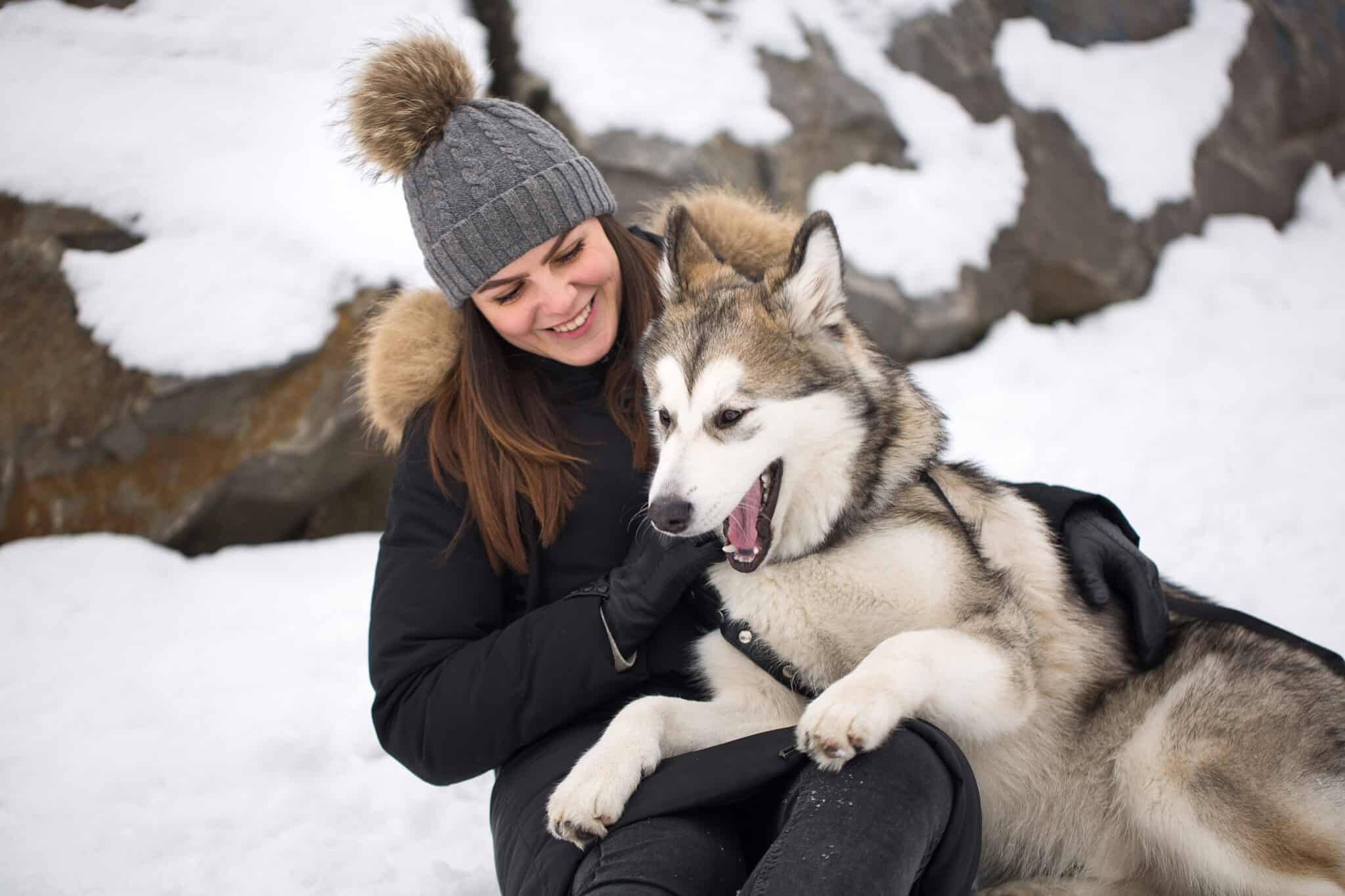 Appearance and personality atika vs husky