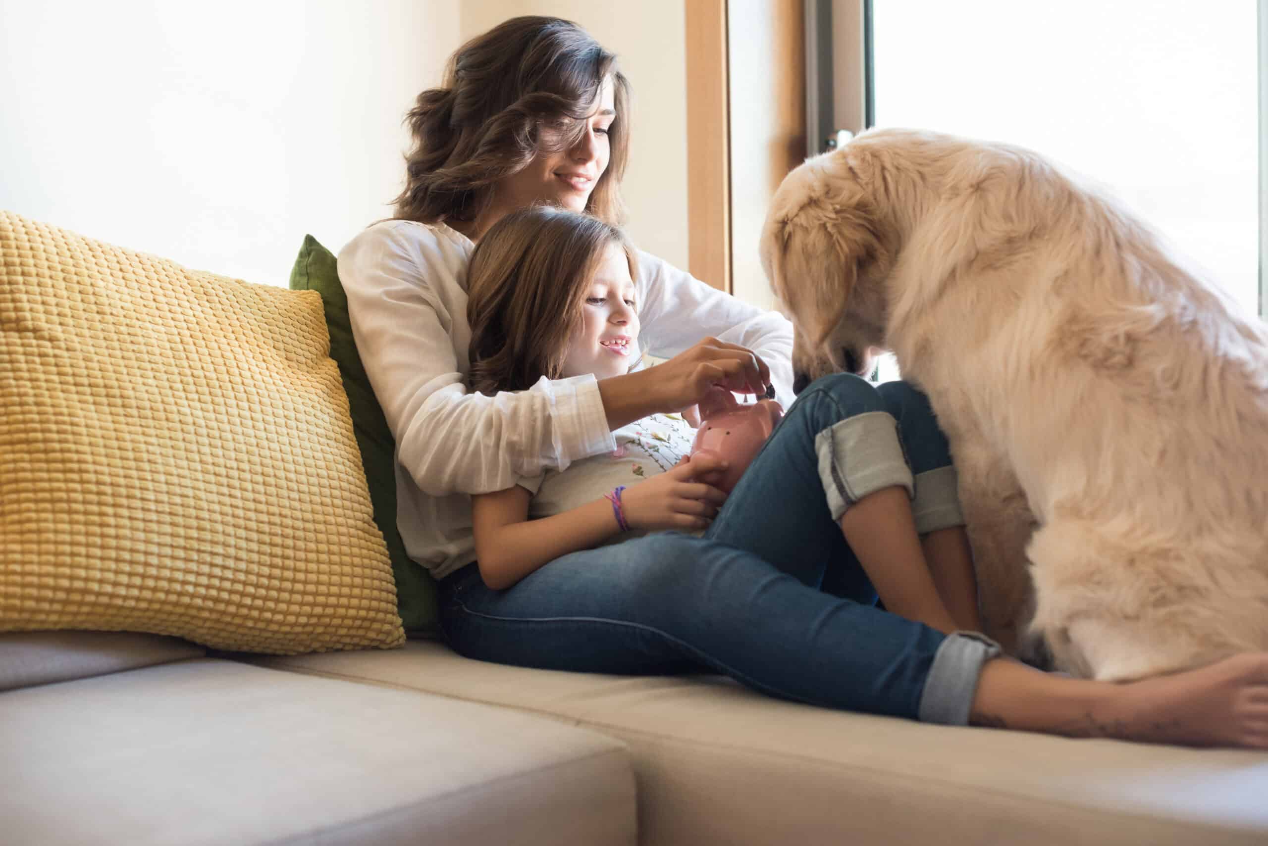 Is Athlete's Foot Contagious To Dogs?
