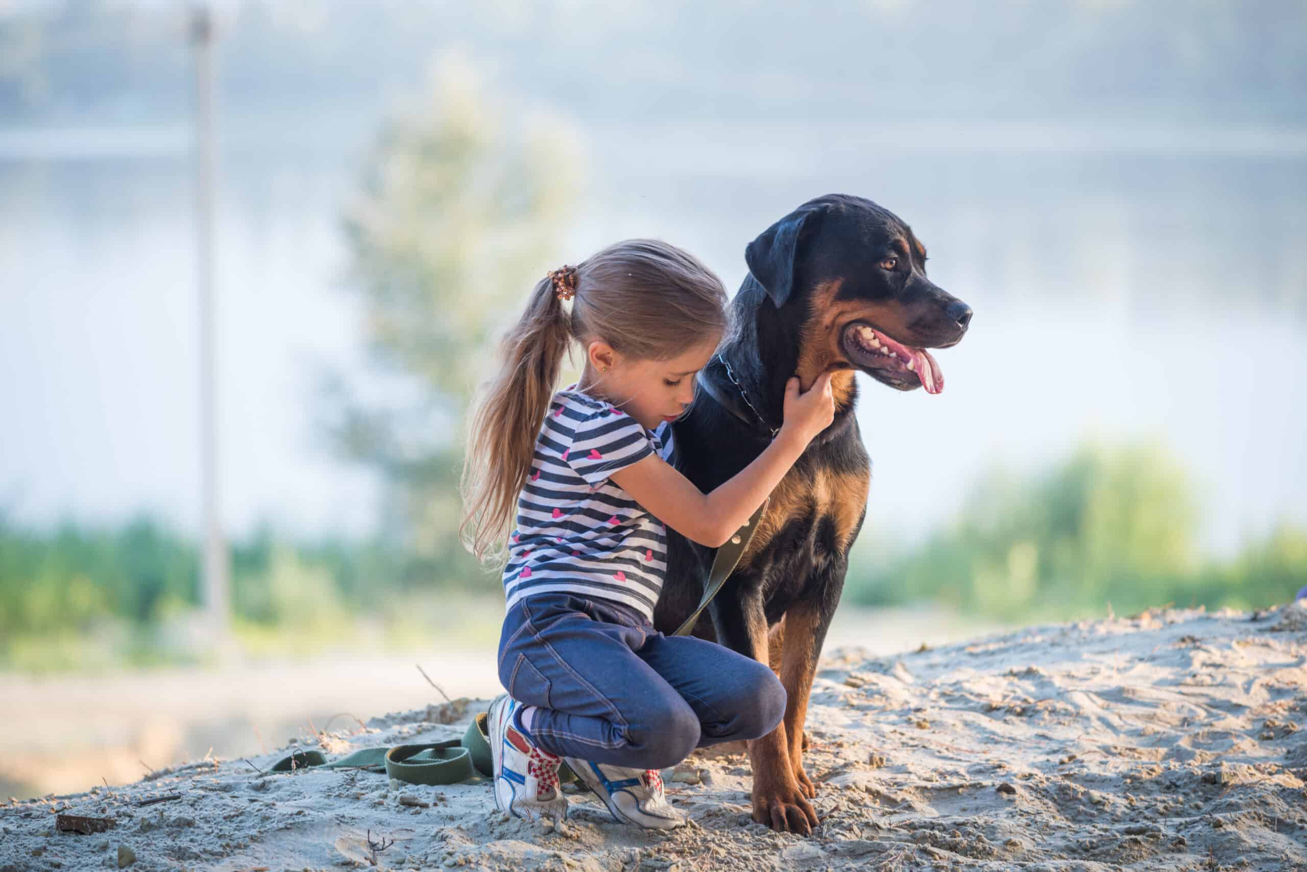 Rottweiler temperament fearless