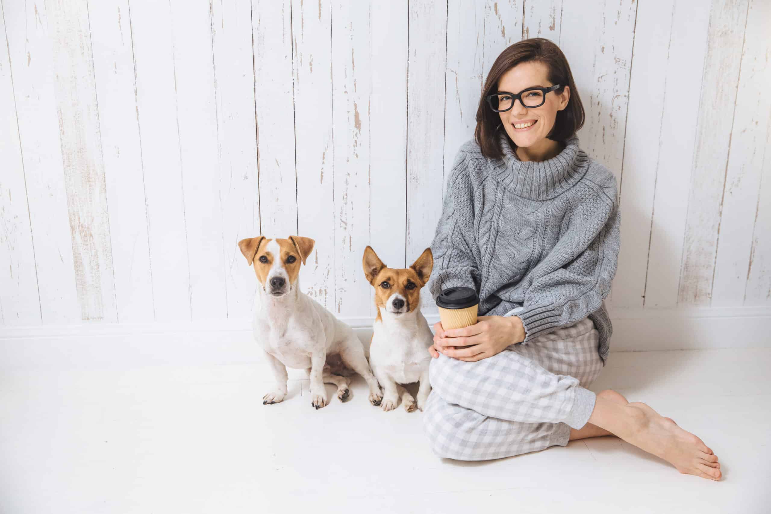 How do you feed two dogs at the same time?