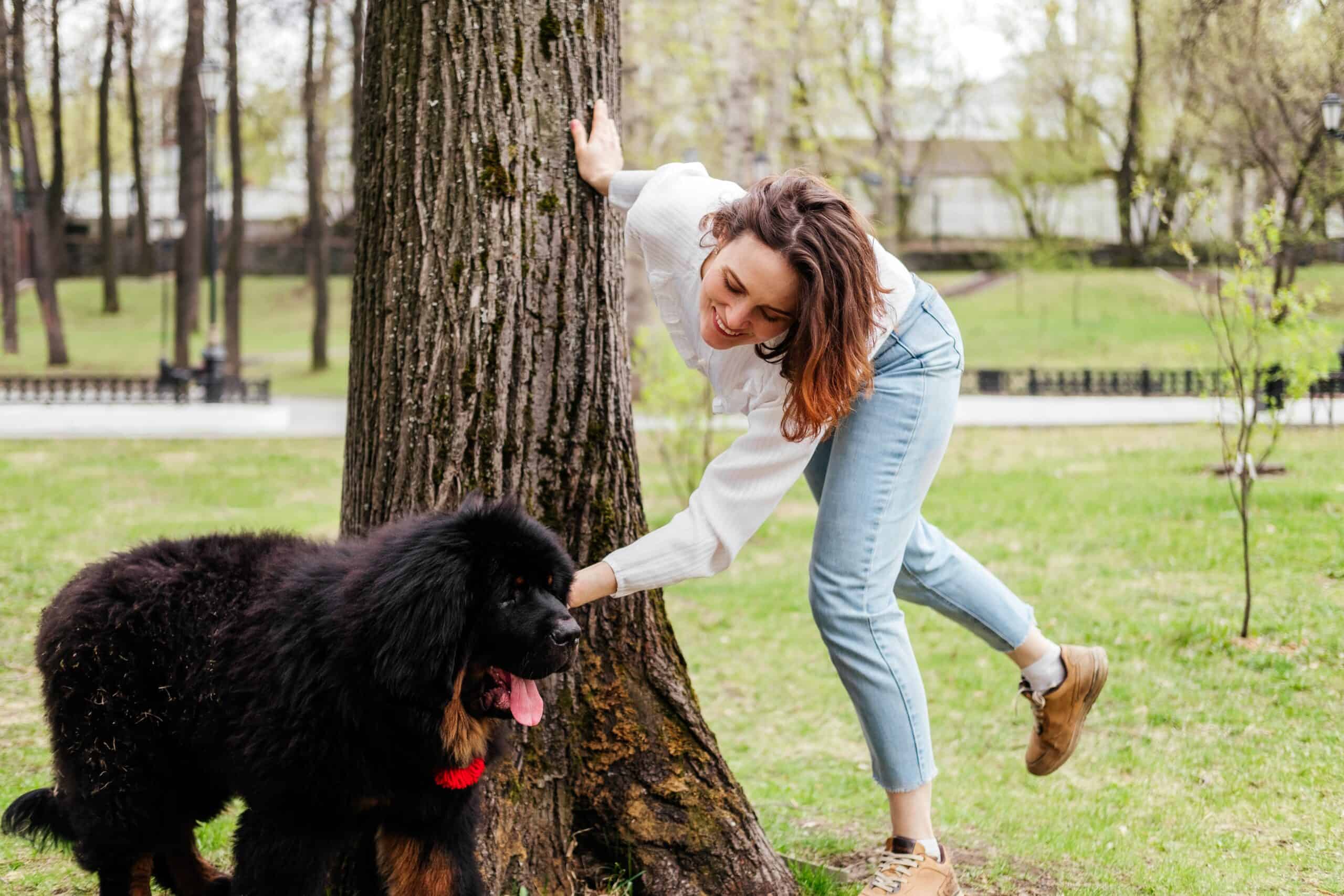 Which mastiff is the best family dog?