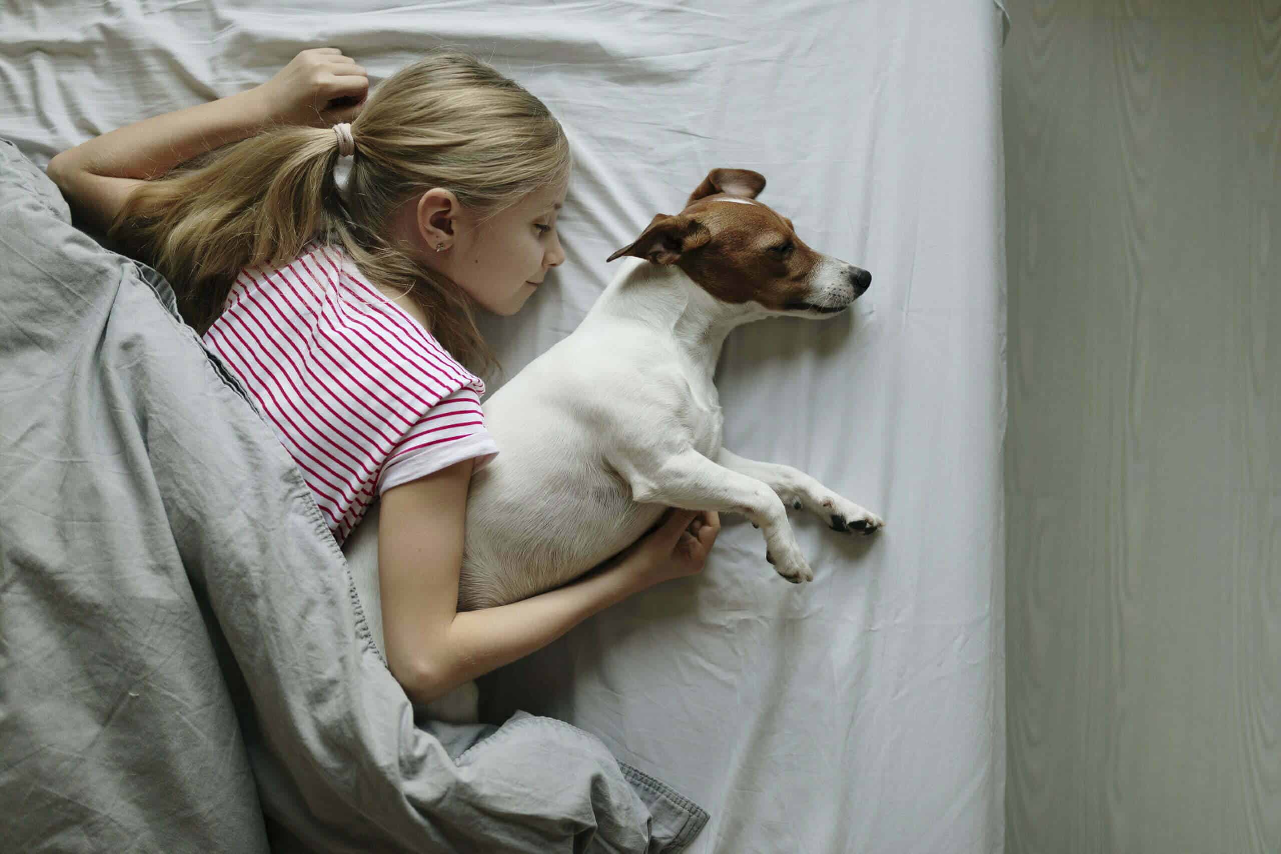 Do dogs sleep with their favorite person?