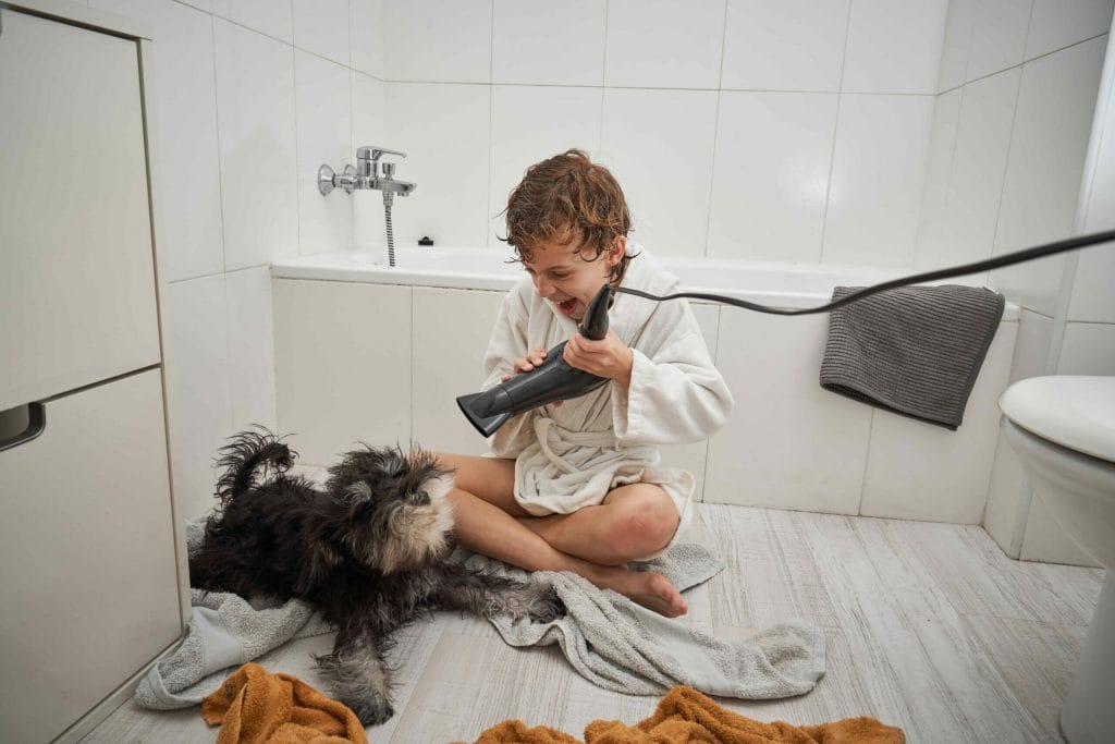 How to Bathe a Dog After Mating Safely