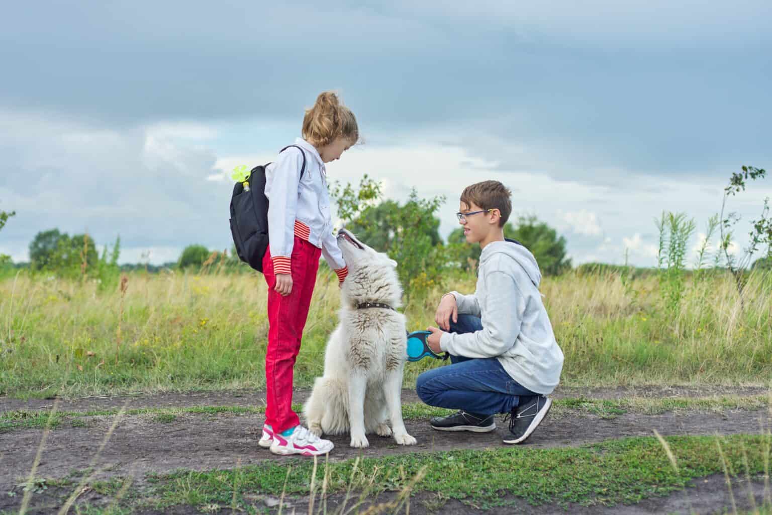 dog will only walk with one person