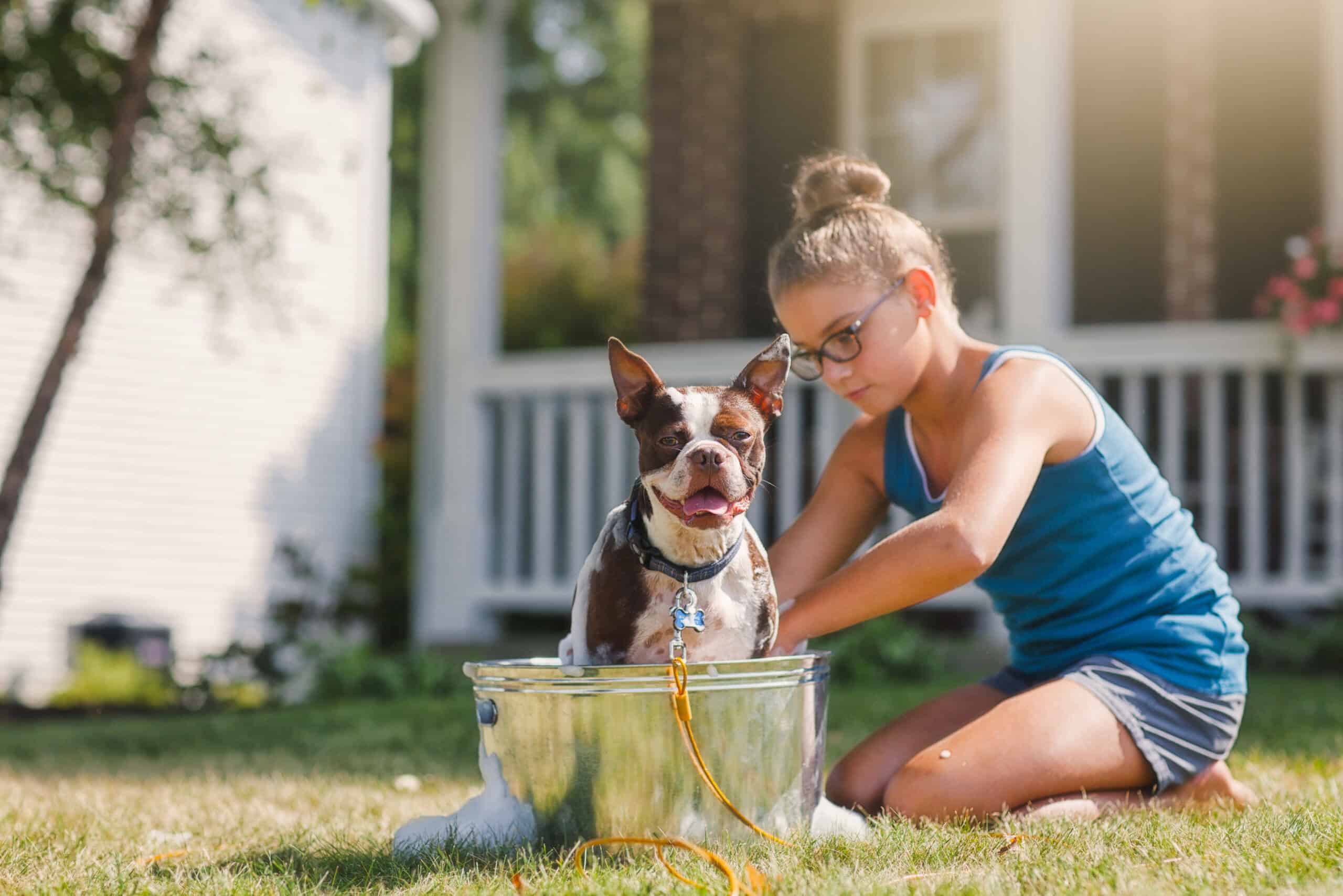 Can I Wash My Dog with Cold Water in the Summer?