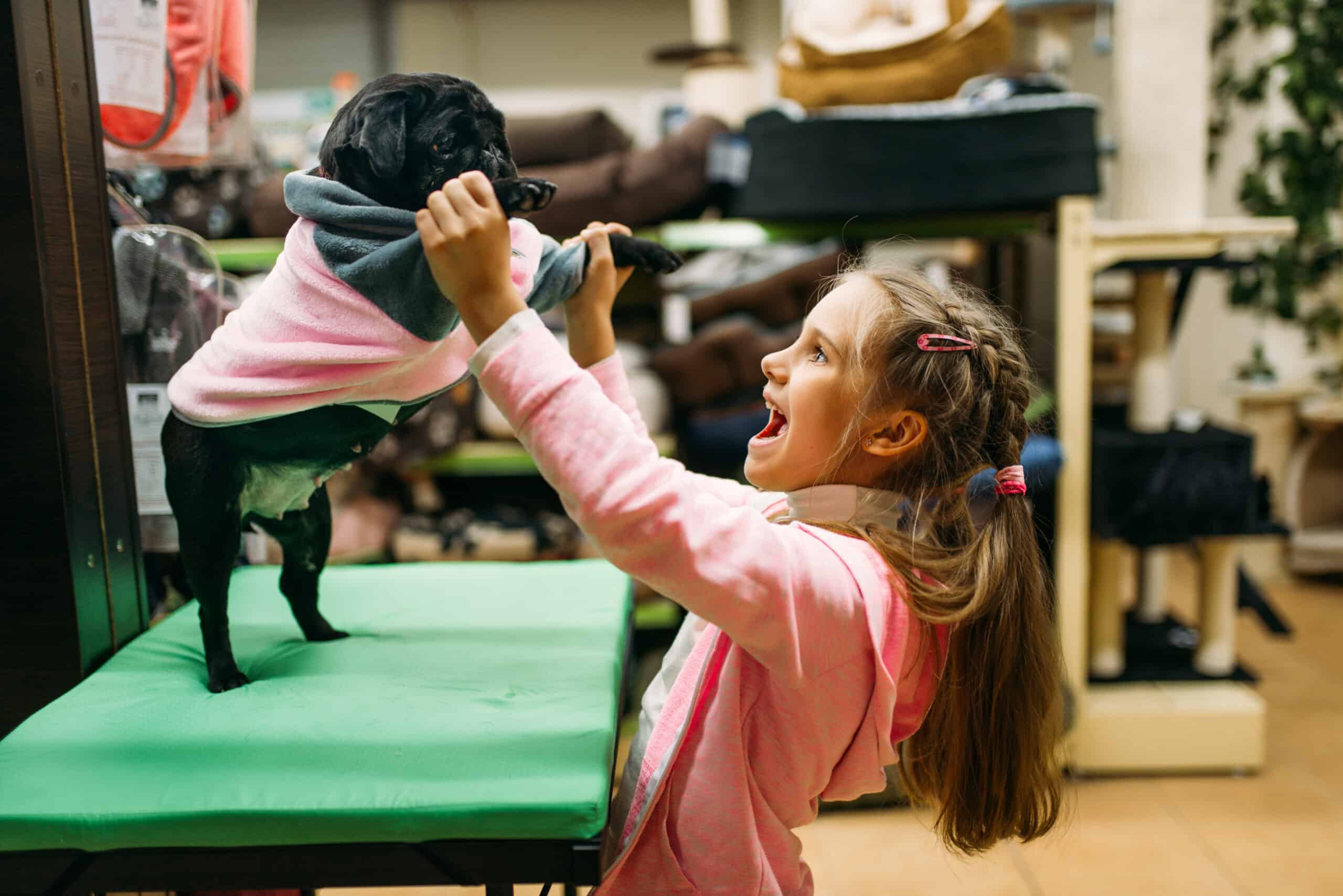 Hire a Dog Behaviorist