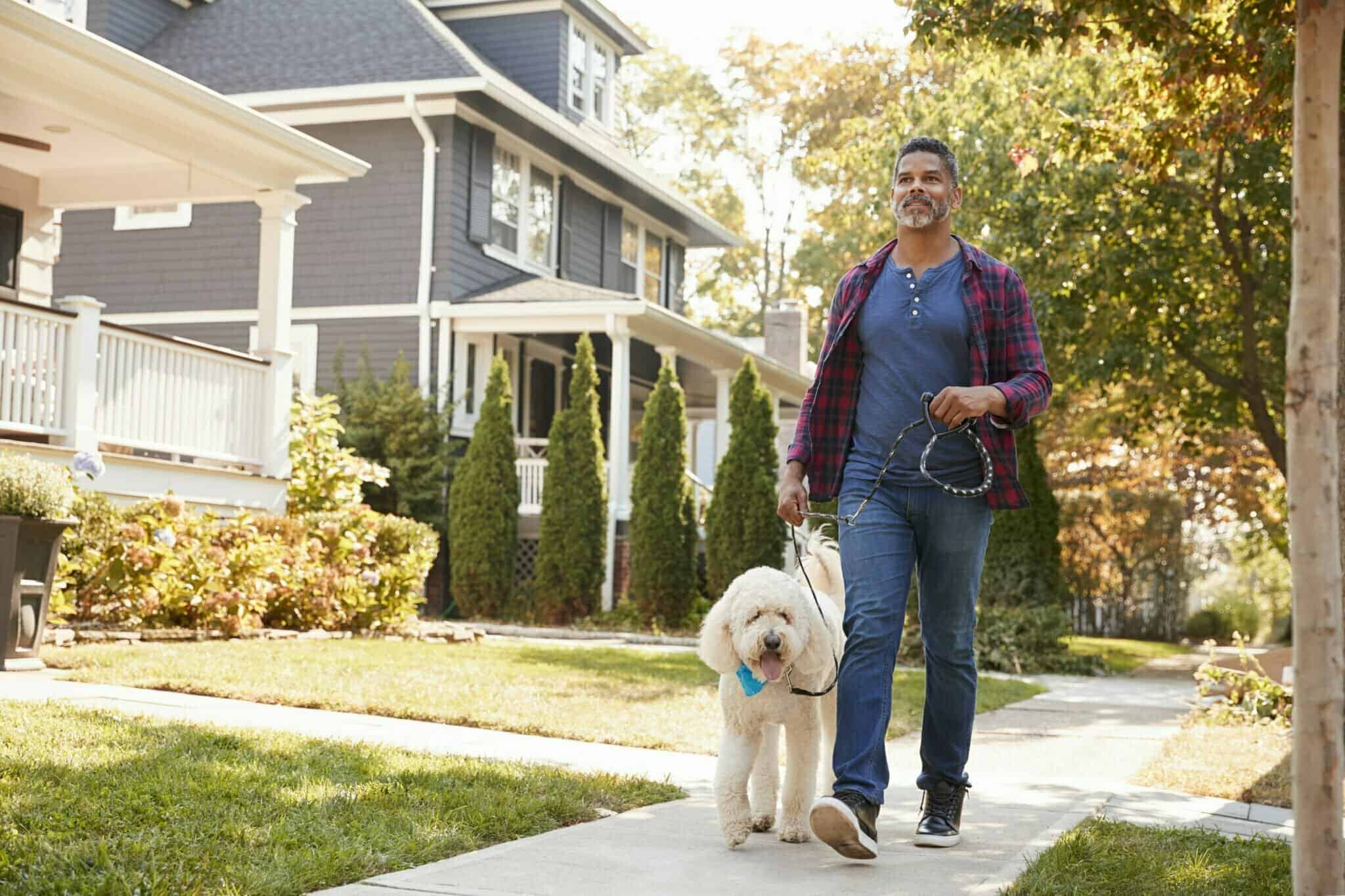 When can my dog walk on new concrete?