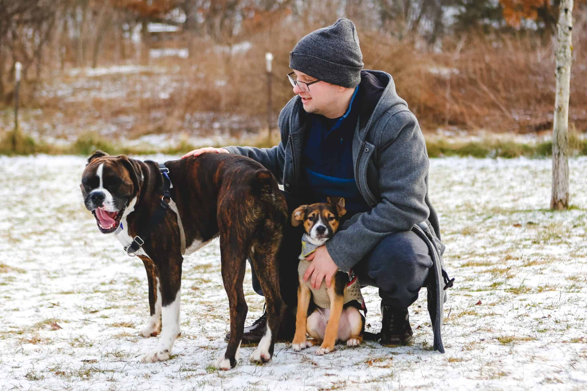 Why Should You Want Your Large Dog to Get Along With Small Dogs?