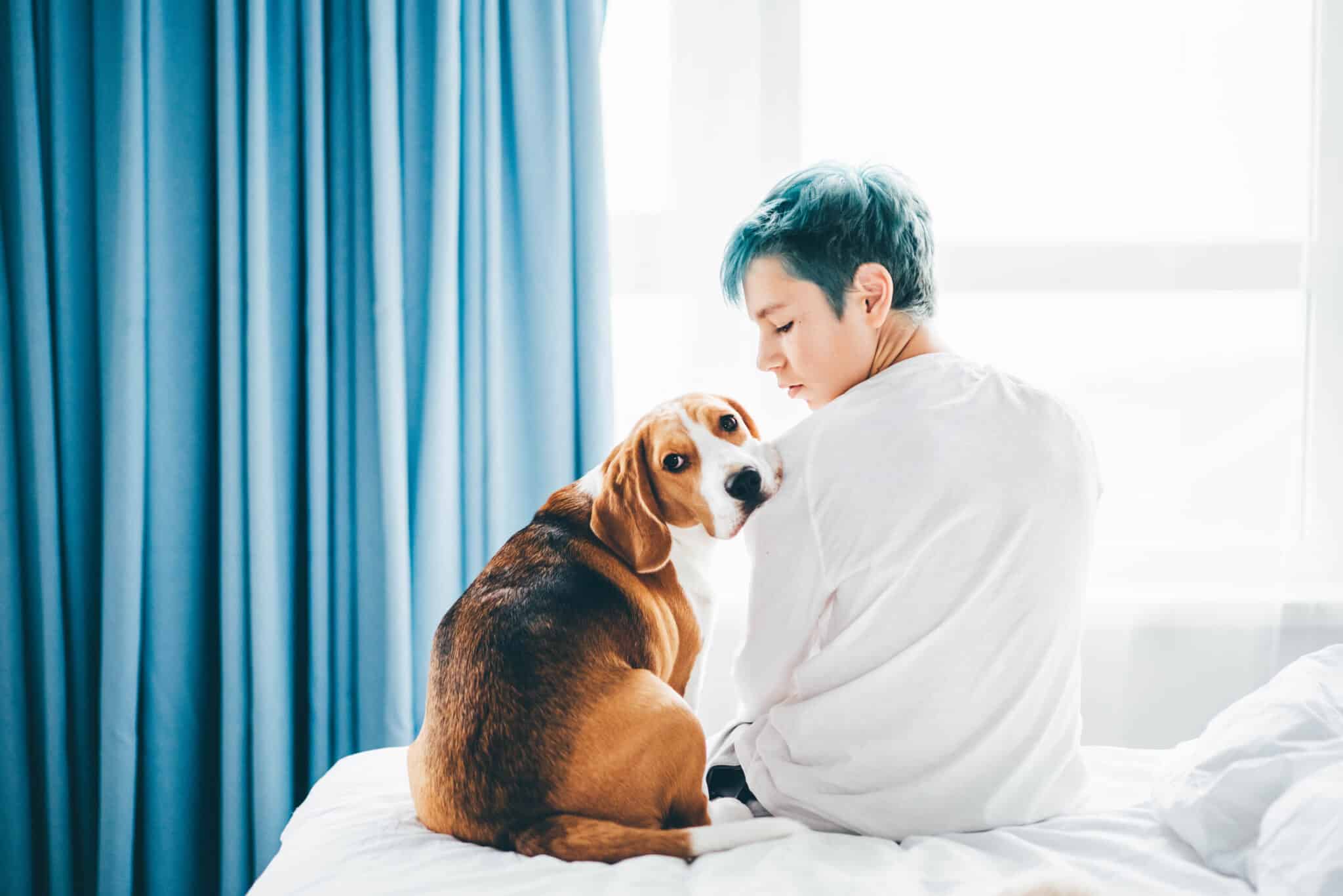 Effective ways to apologize to your dog and earn its trust