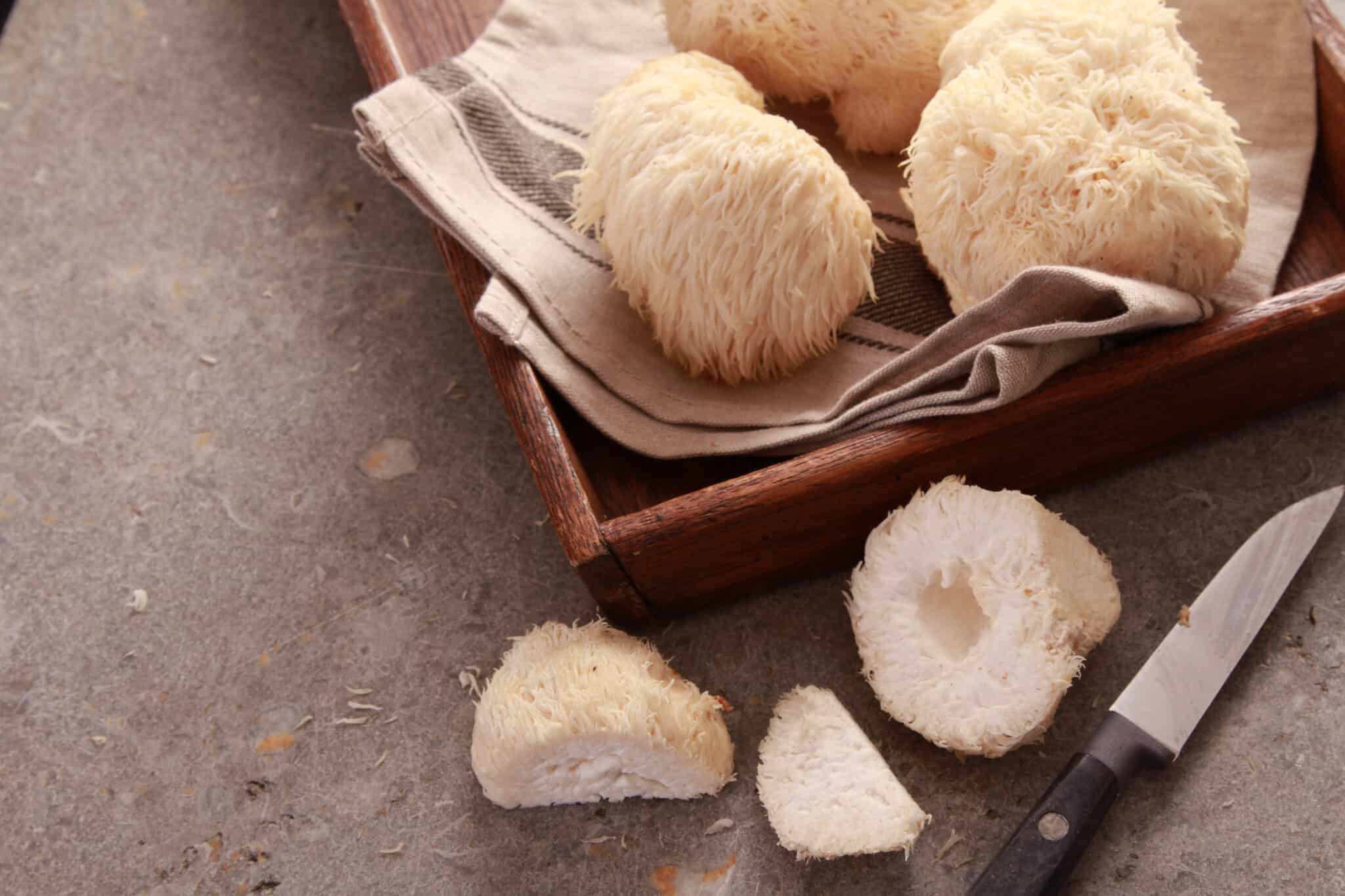 Are Lion's Mane Mushrooms Edible for Dogs?