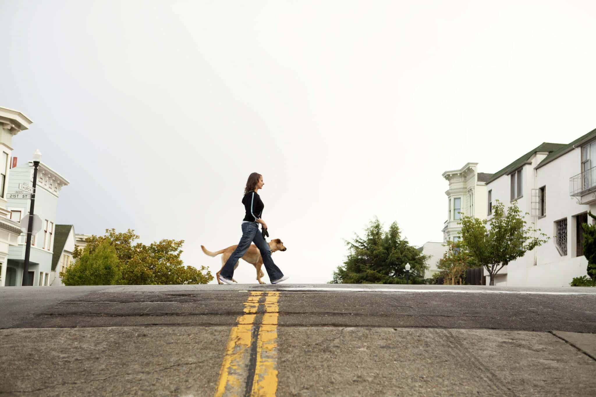 What if my dog walks on new concrete before it's fully cured?