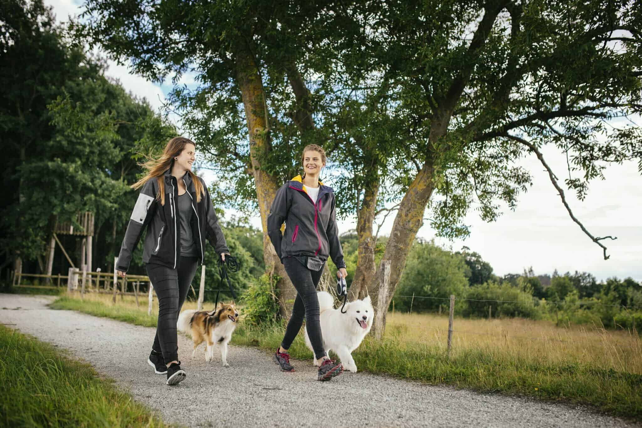 When is it safe for dogs to walk on new concrete?