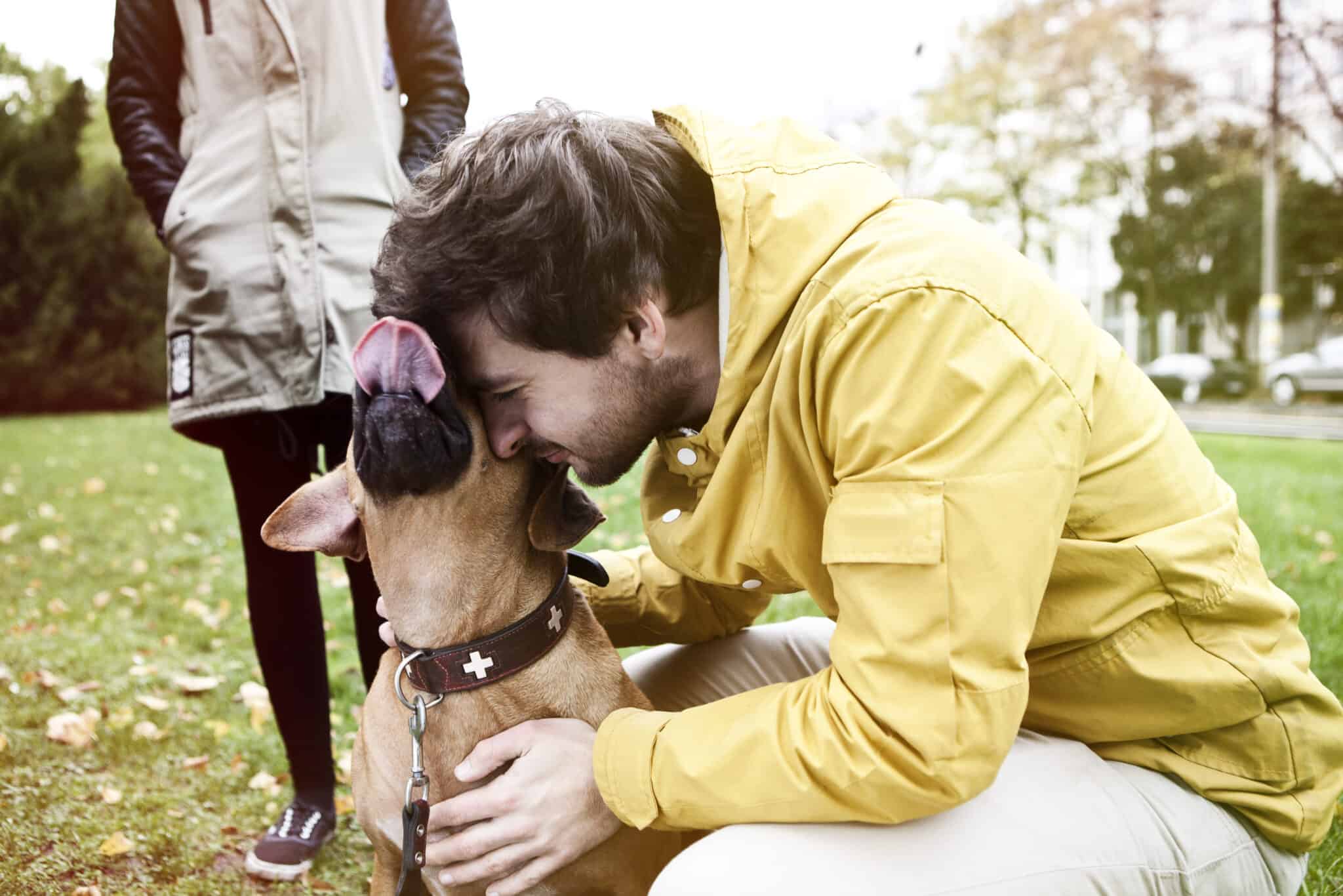 How do I prevent my dog from breaking its collar?