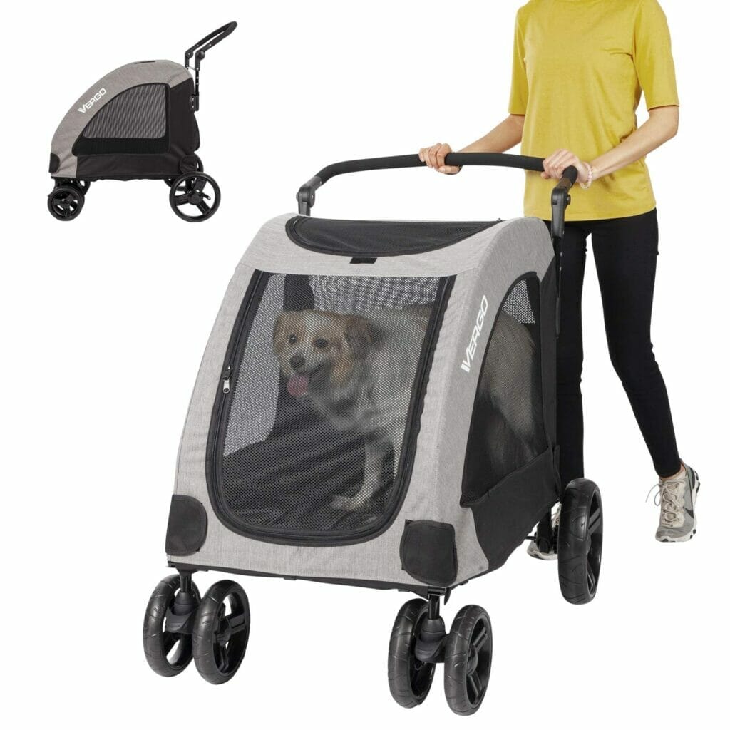 Wagons For Dogs Who Can't Walk