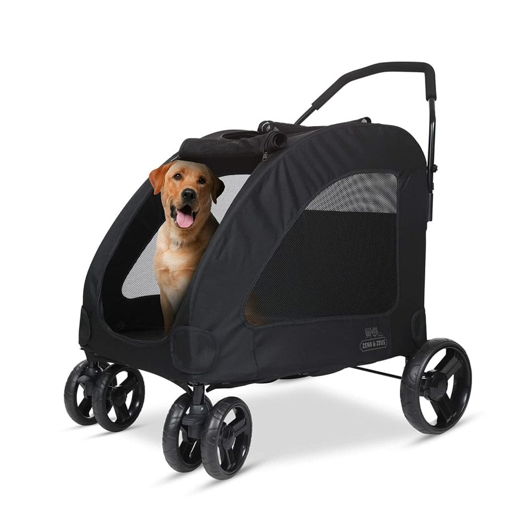 Wagons For Dogs Who Can't Walk
