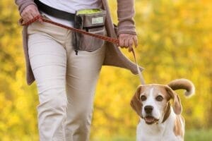 Best dog training fanny packs