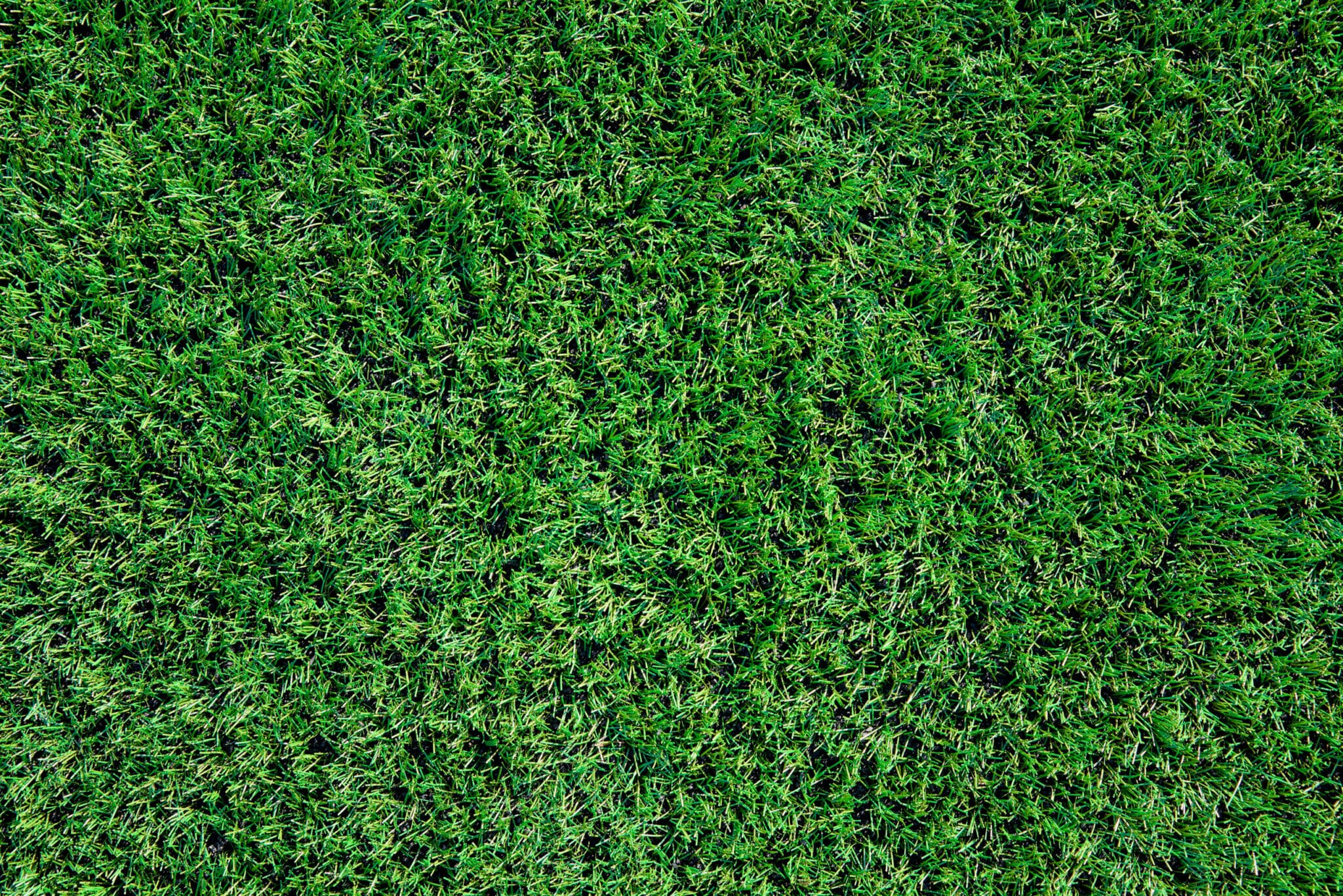 Can dogs pee and poop on artificial grass?