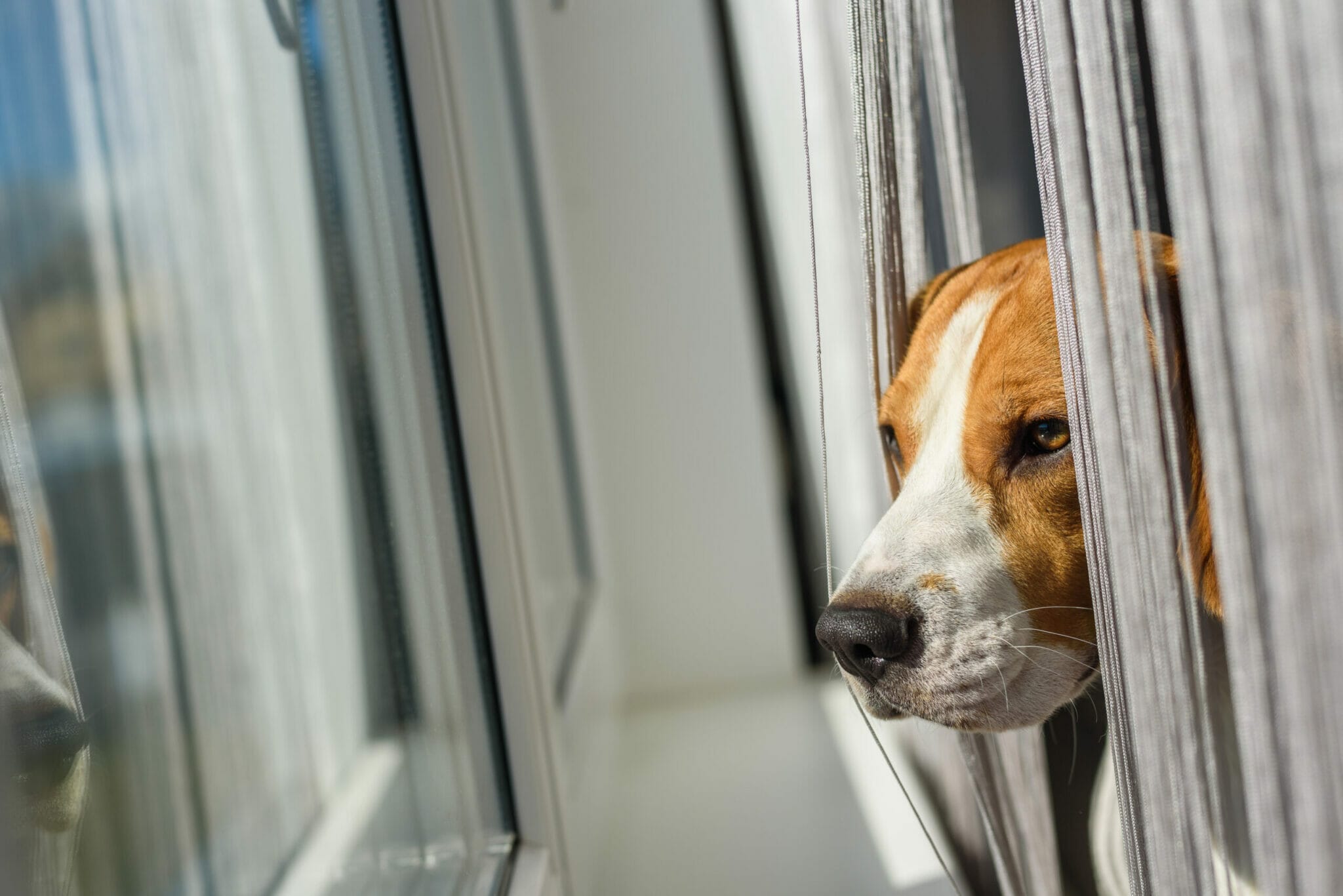 Cover your window sills with plastic covers