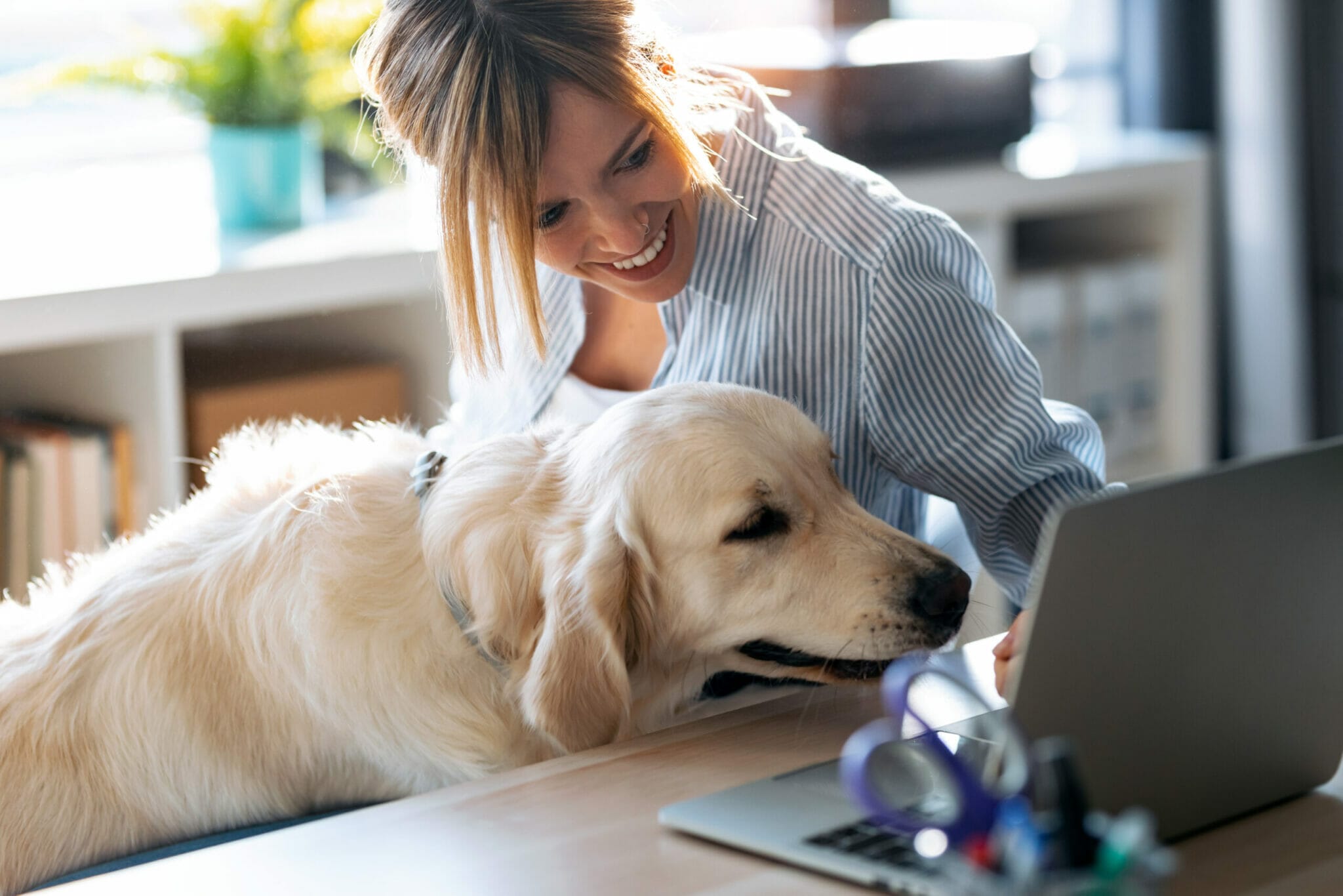 how to keep my dog entertained while working from home