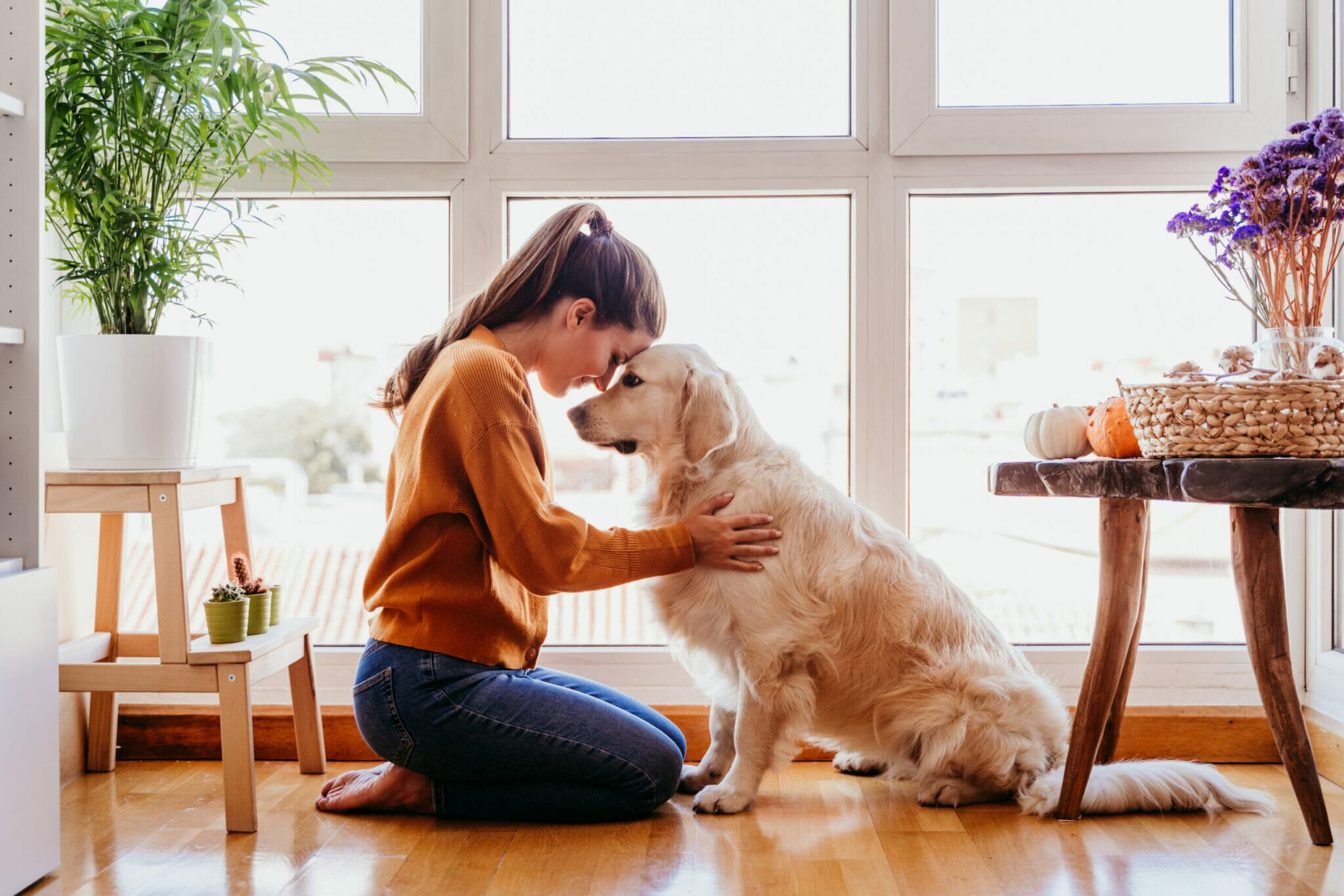 Where to leave your dog when you go to work?