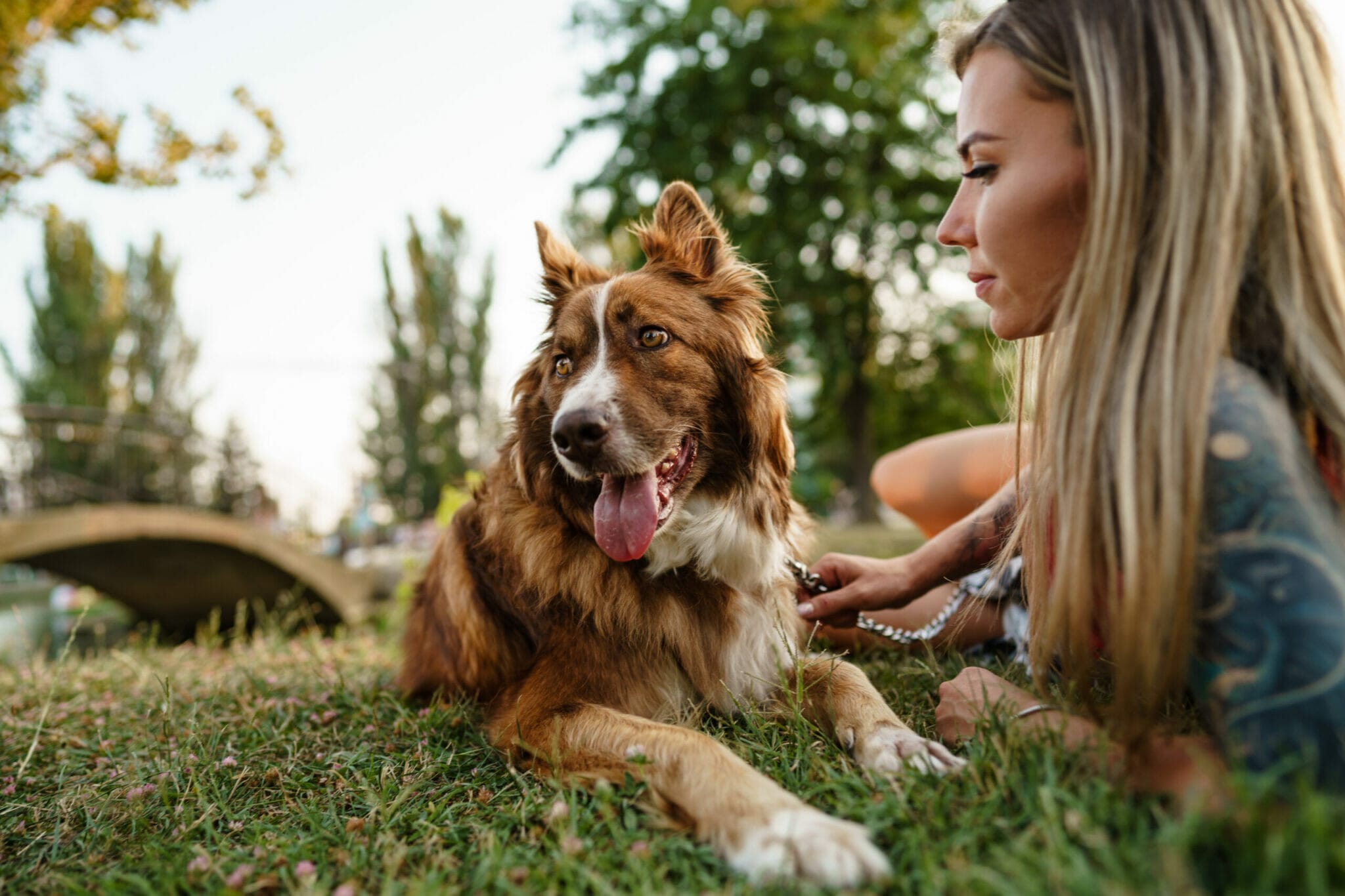 Dog suddenly won’t go on grass