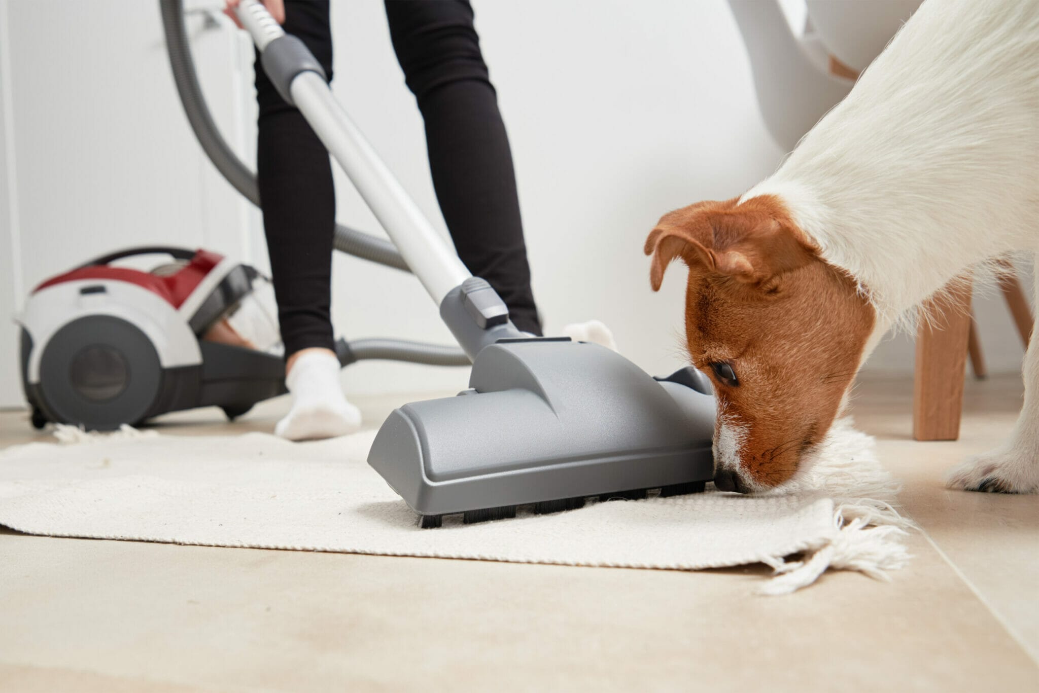 Invest in a good vacuum cleaner