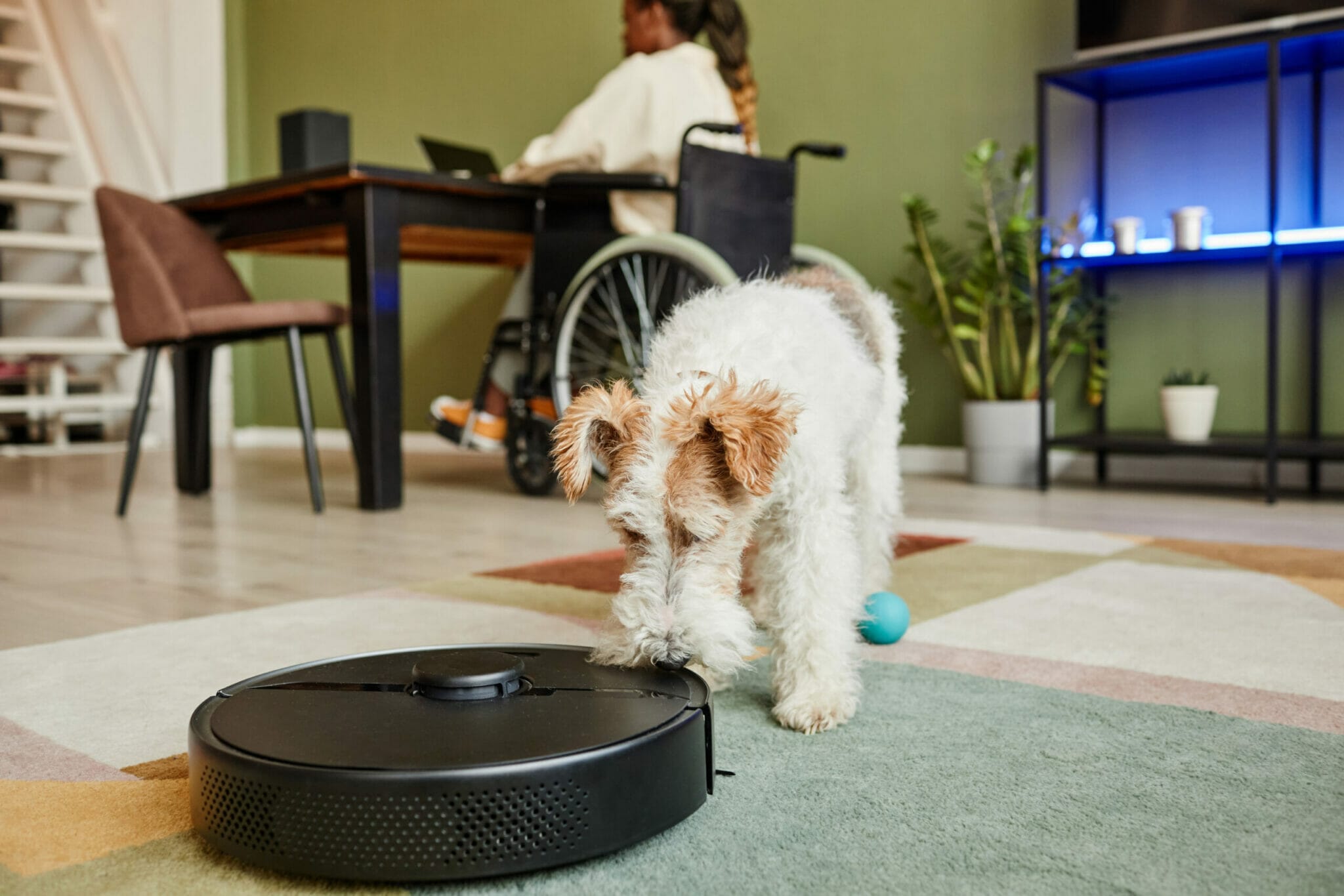 How to keep baseboards clean with dogs