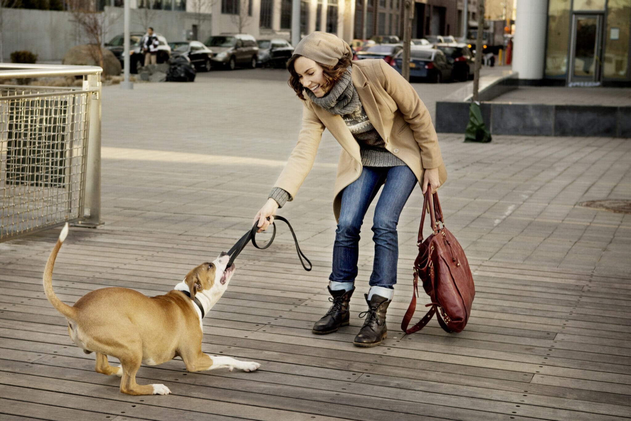 Why Dogs Bite The Leash When Walking