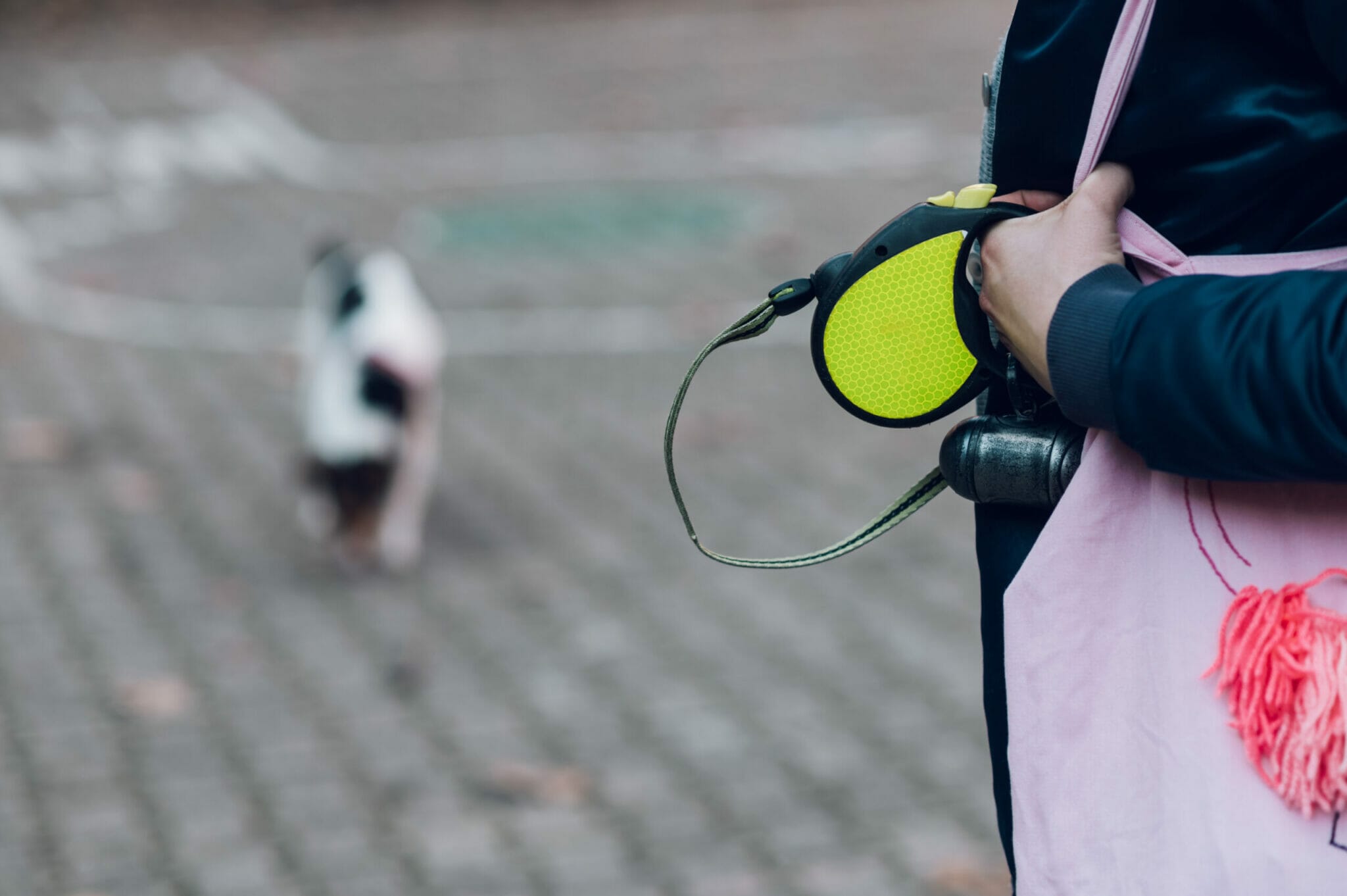 How does a retractable dog leash work