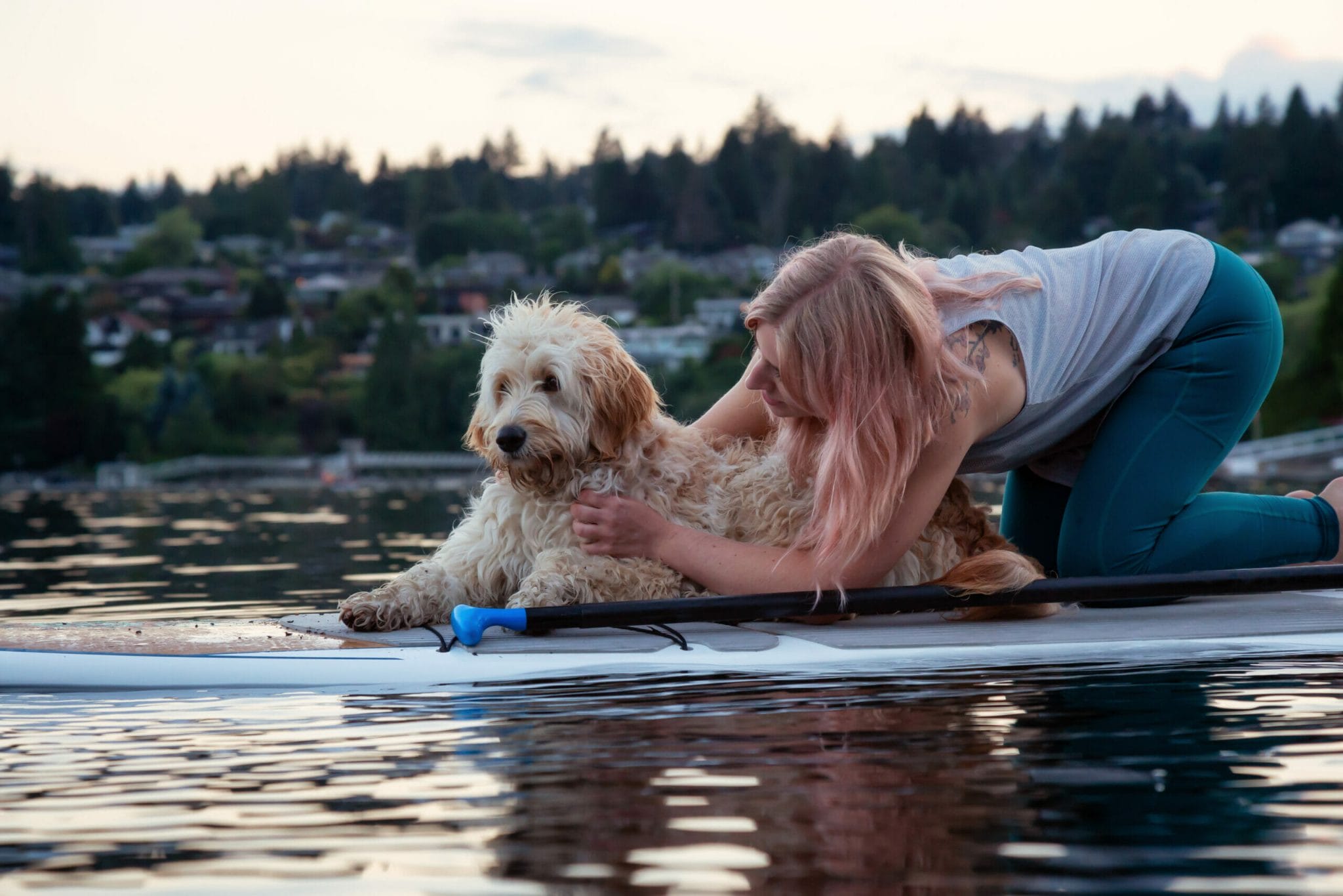 Best inflatable paddle boards for dogs