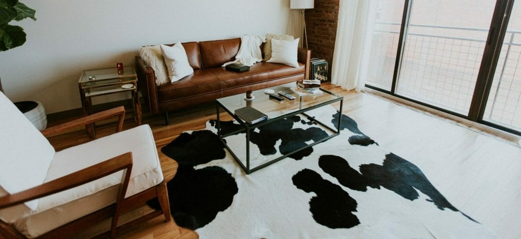 How to clean dog poop off cowhide rug?
