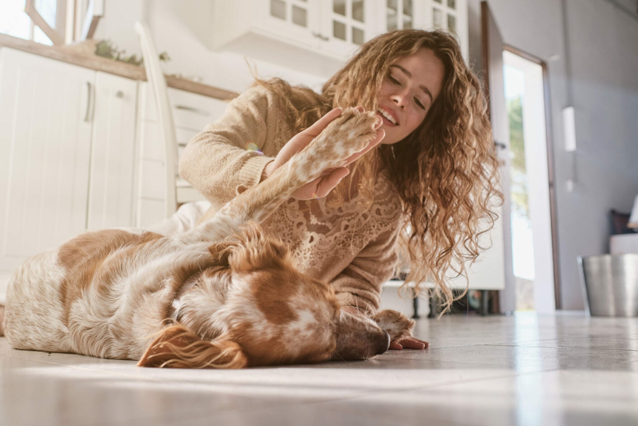 how to keep baseboards clean with dogs