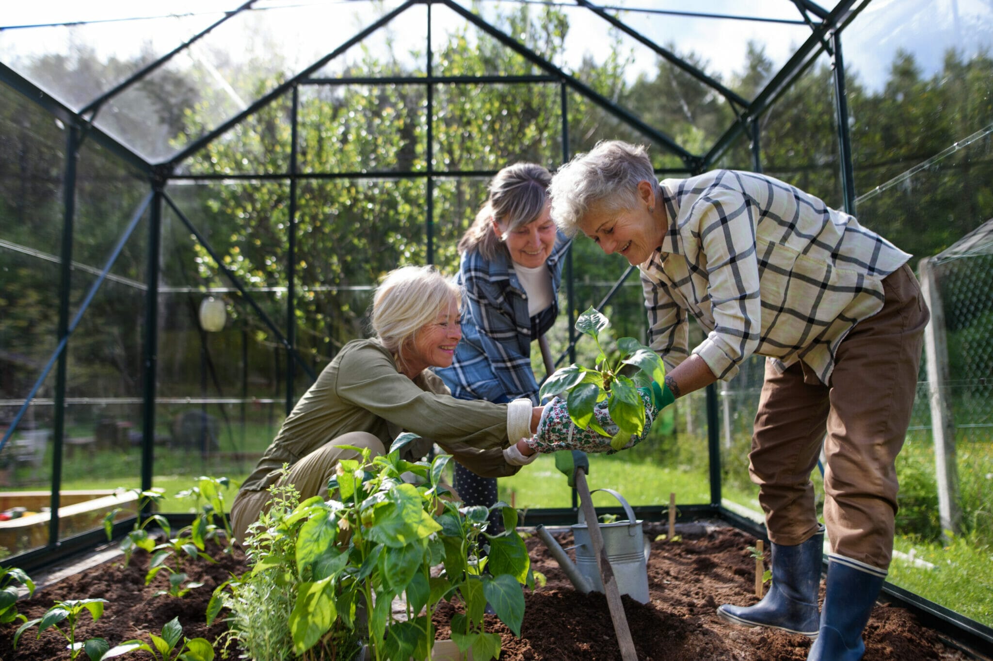 Use a greenhouse