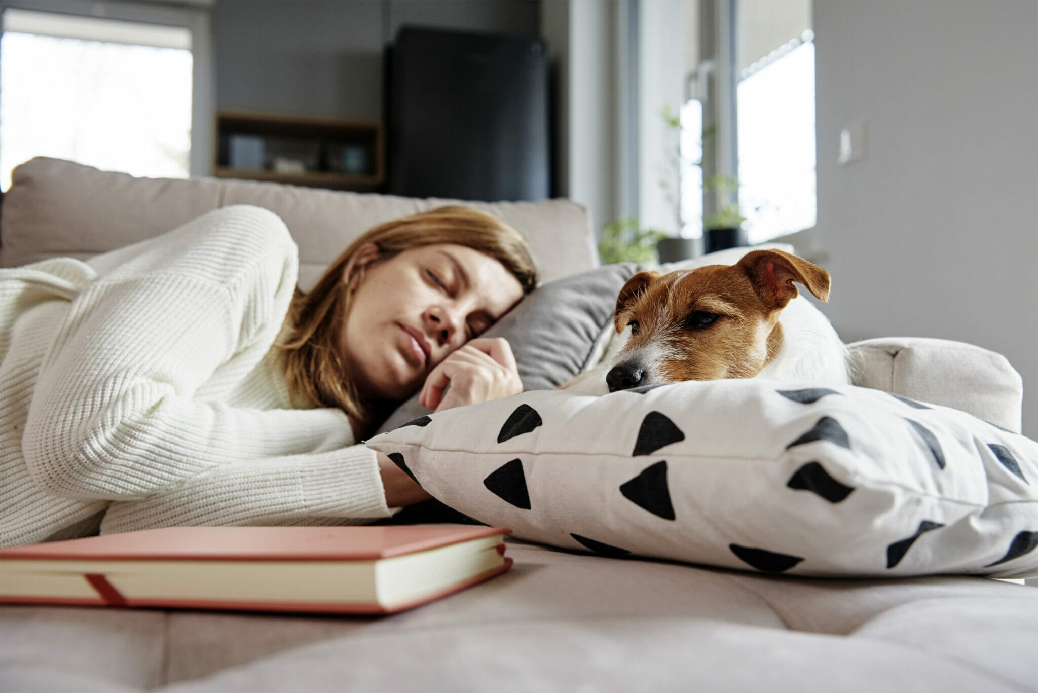 Which home remedy is optimal for your dog?