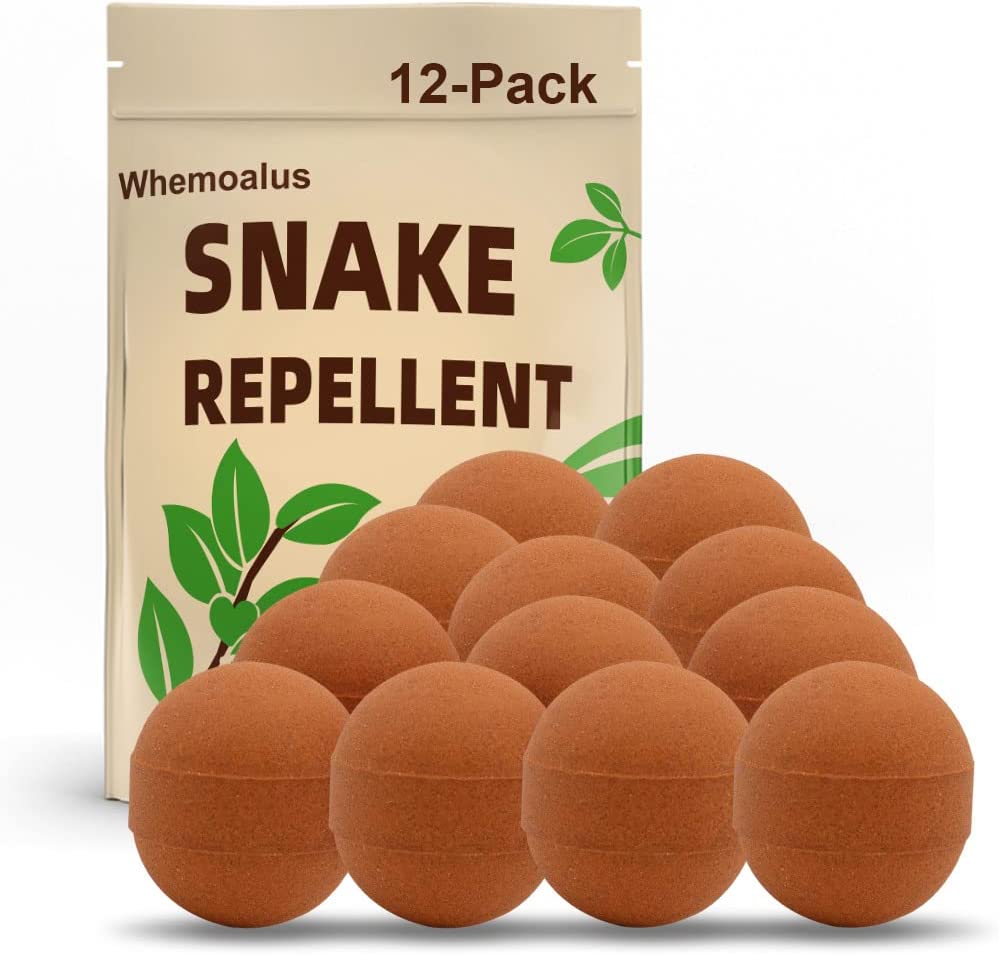 Best Snake Repellent Safe For Dogs 3 Safe Options In 2024   61IujjgGzJL. AC SL1001  