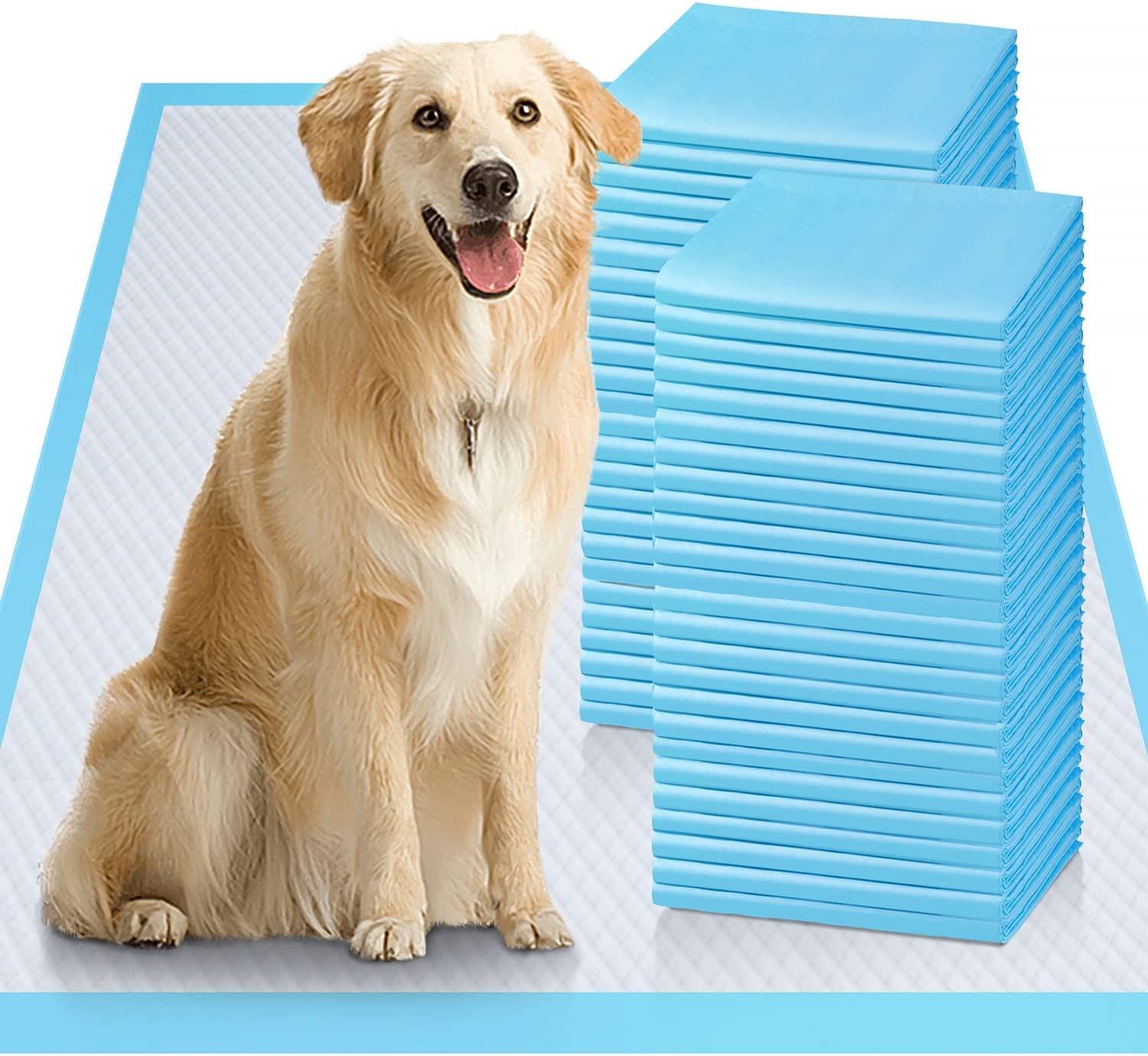 best pee pads for senior dogs