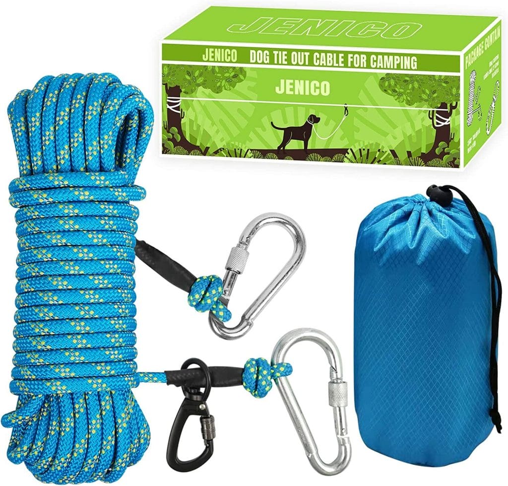 Best dog tie out for camping