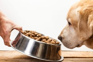 how long will my dog food last calculator
