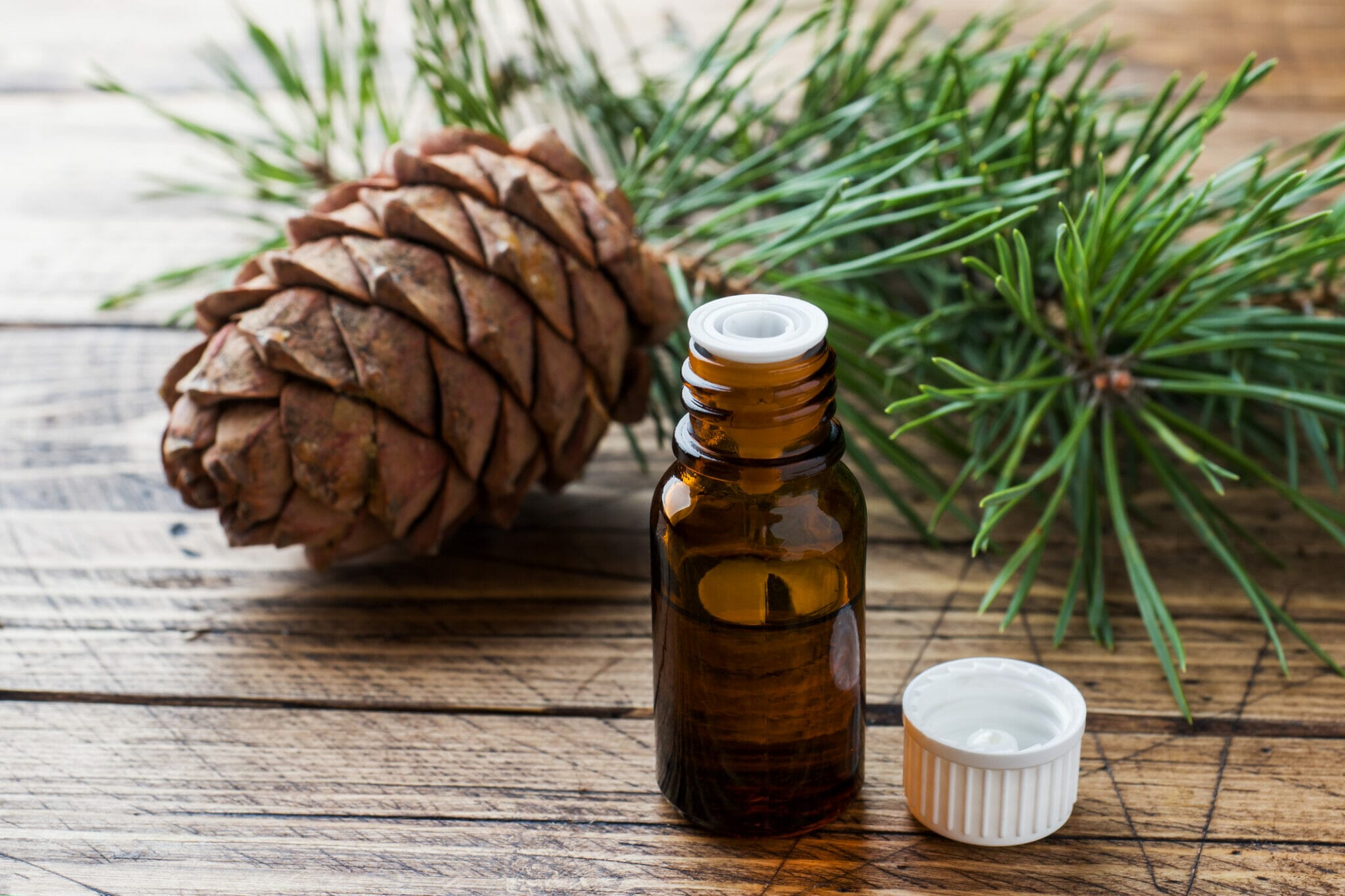 How to dilute cedarwood oil for dogs