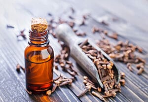 Is clove essential oil safe for dogs? (Answered)