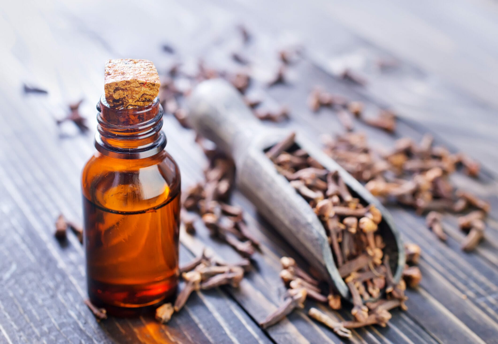 Is Clove Essential Oil Safe For Dogs? (Answered)