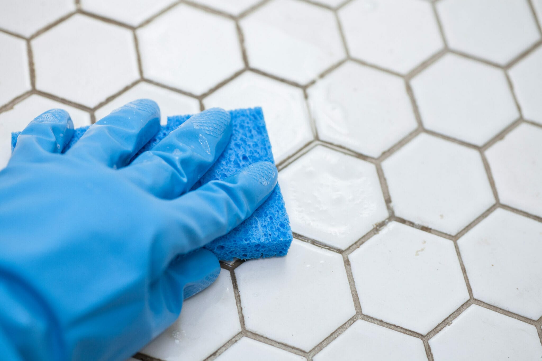 How to clean dog urine from tile grout