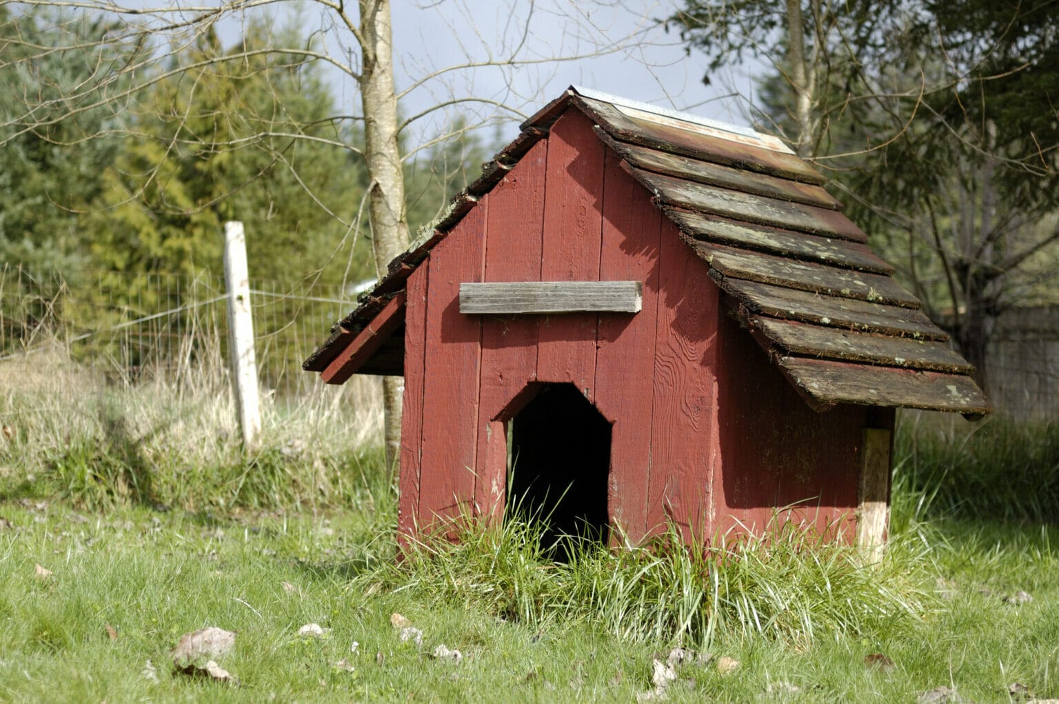 Dog House Door Flap