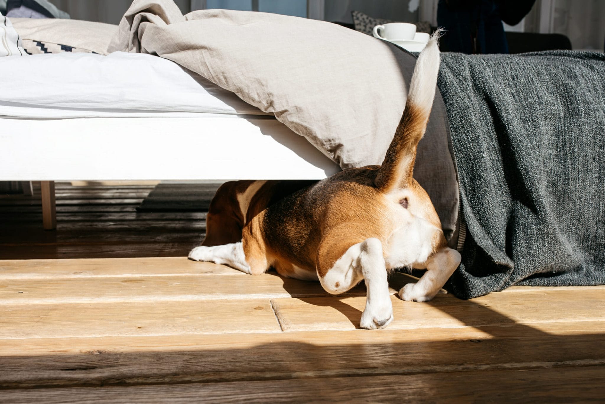 DIY Under Bed Blockers For Dogs