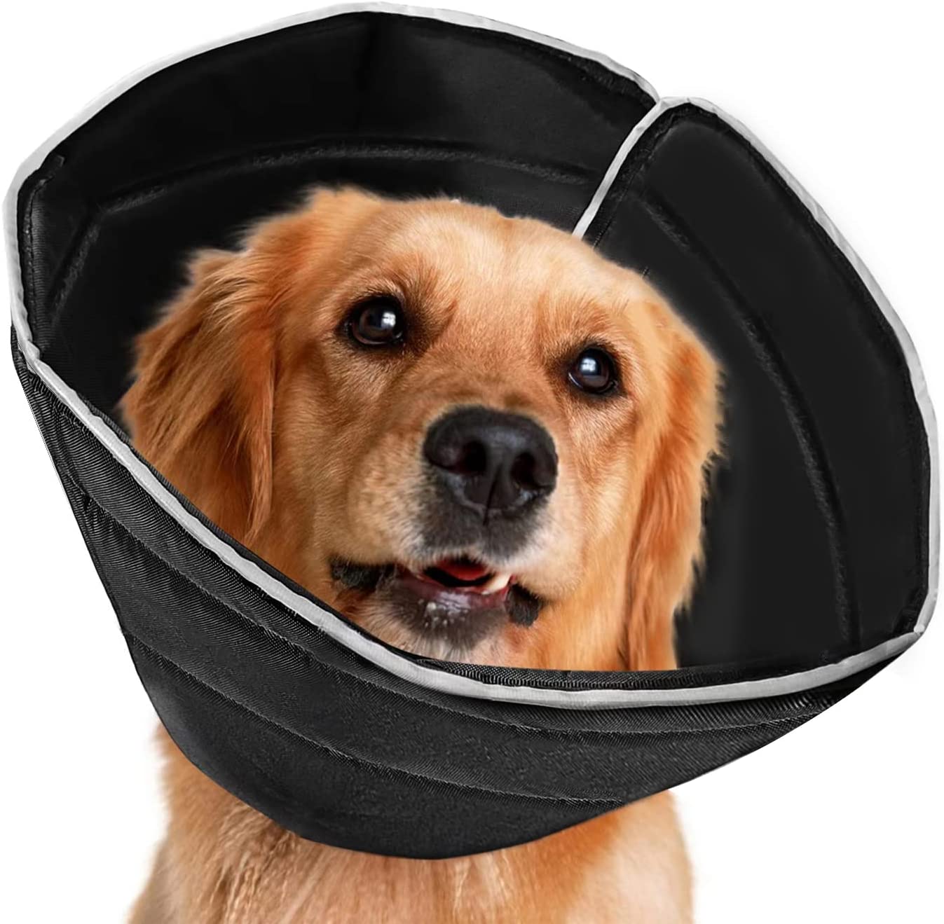 Cryptdogle Dog Cone Collar