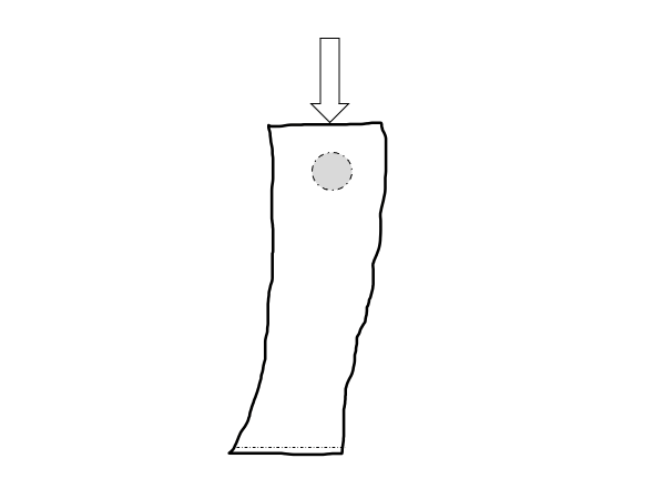 Fill the sock with the filler material of your choice