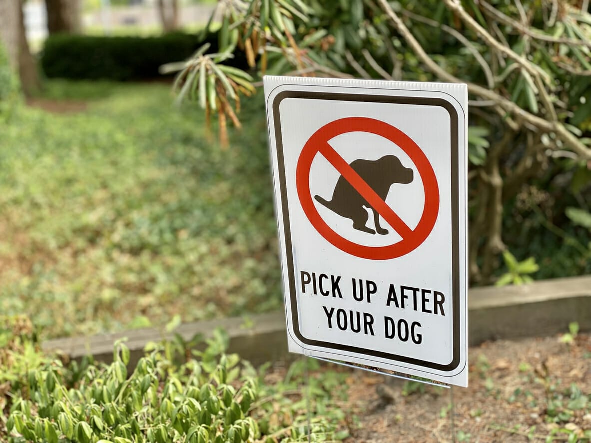 no dog poop sign for yard