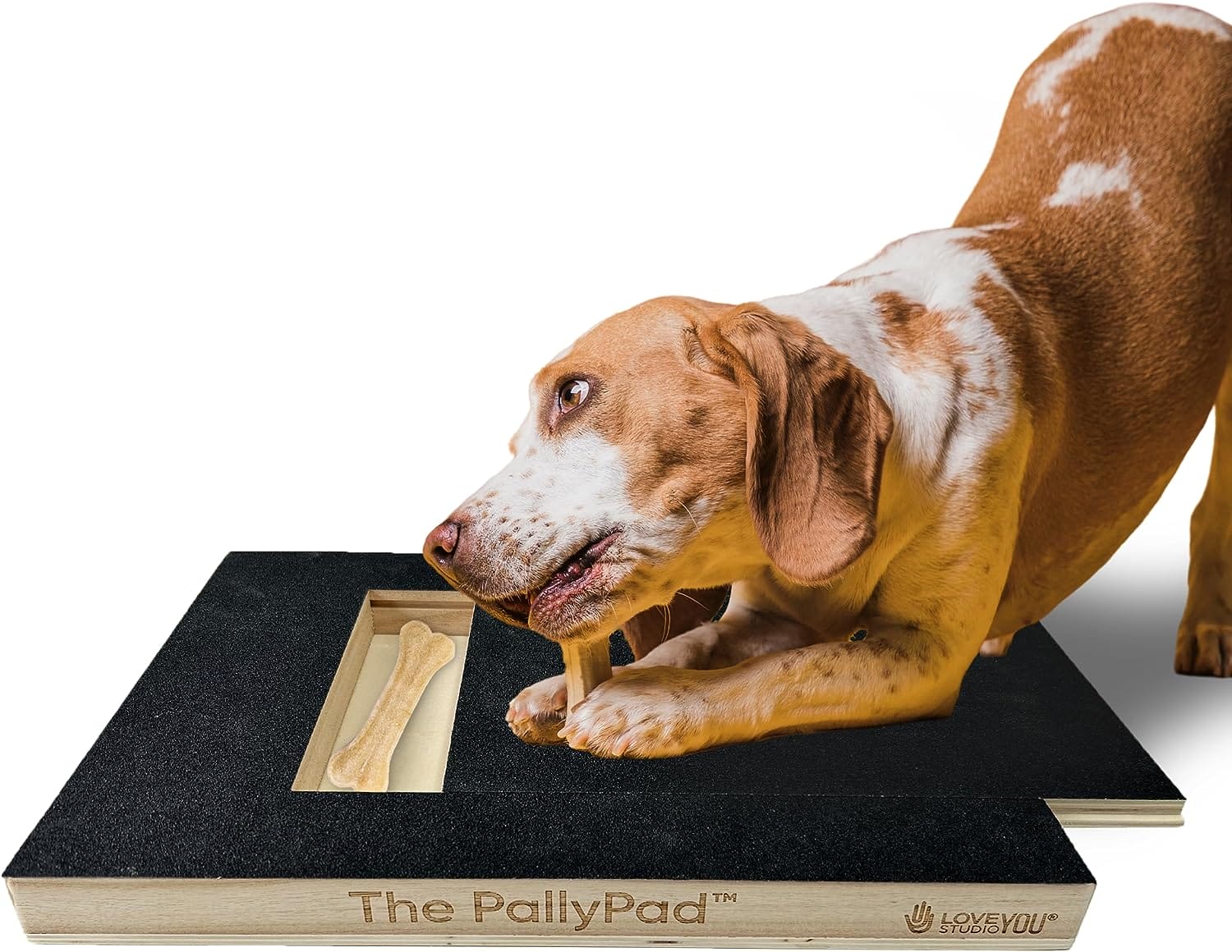 The 'PallyPad' Scratch Square for Dogs - Best Overall