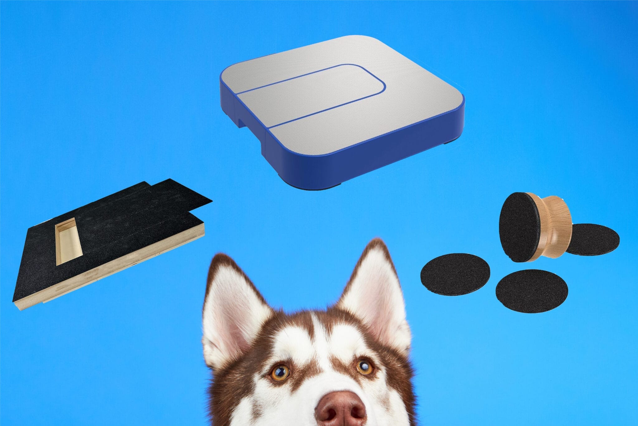 Best Dog Scratch Mats