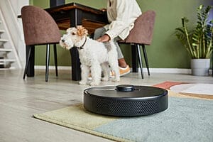 Best Robot Vacuum for Dog Hair